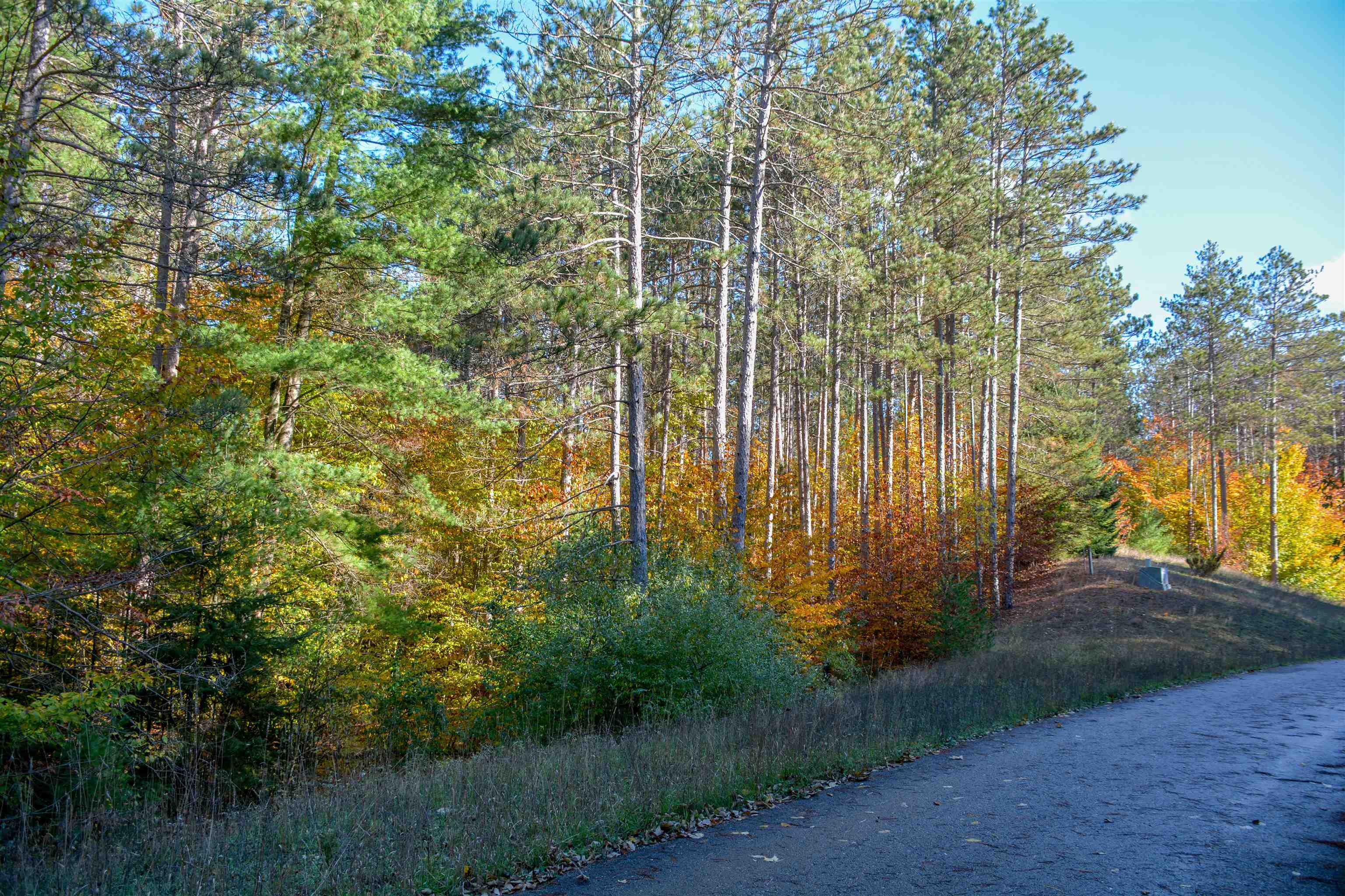 W Timber Lane, Empire, MI, 49630