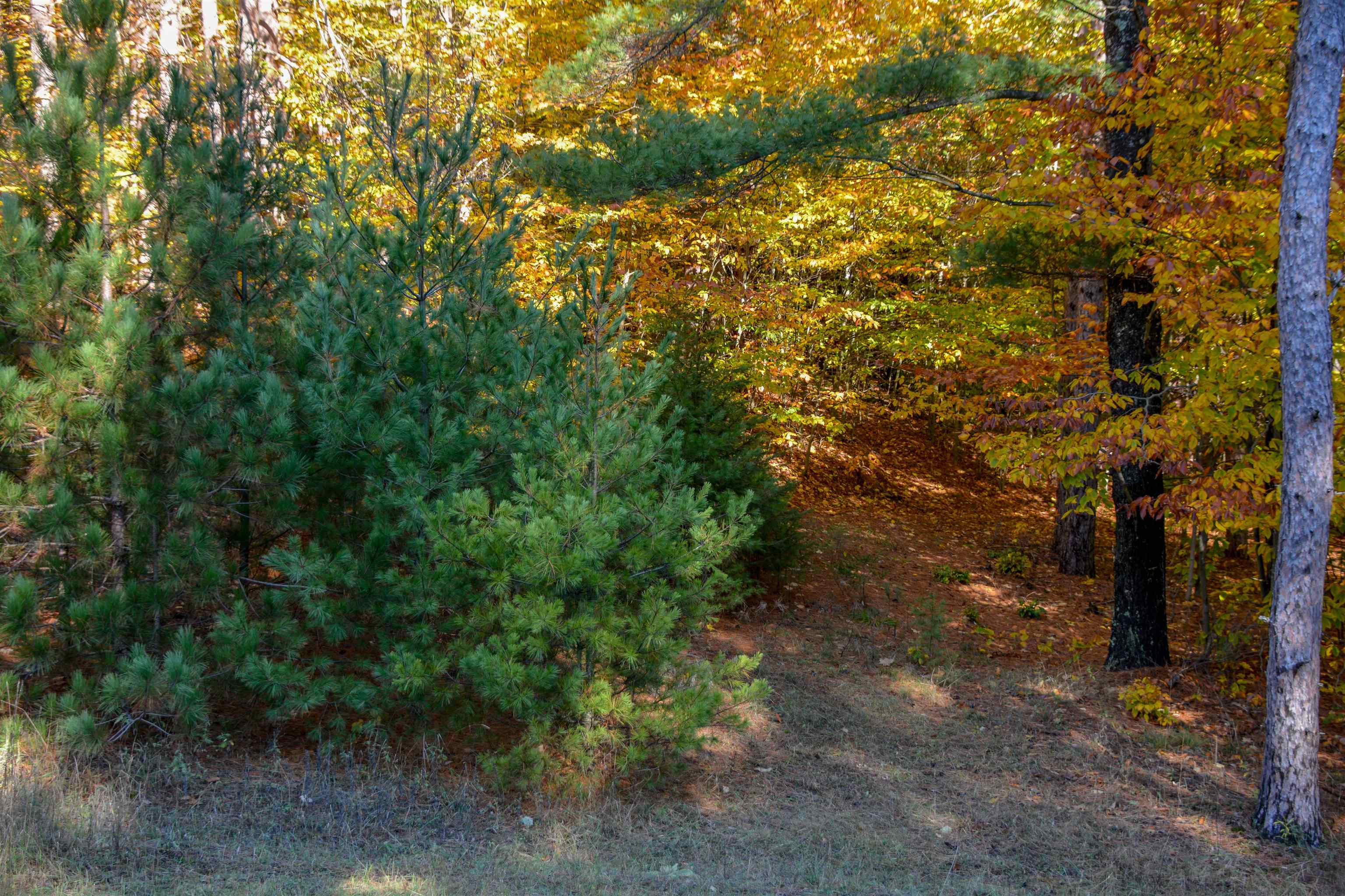 W Timber Lane, Empire, MI, 49630