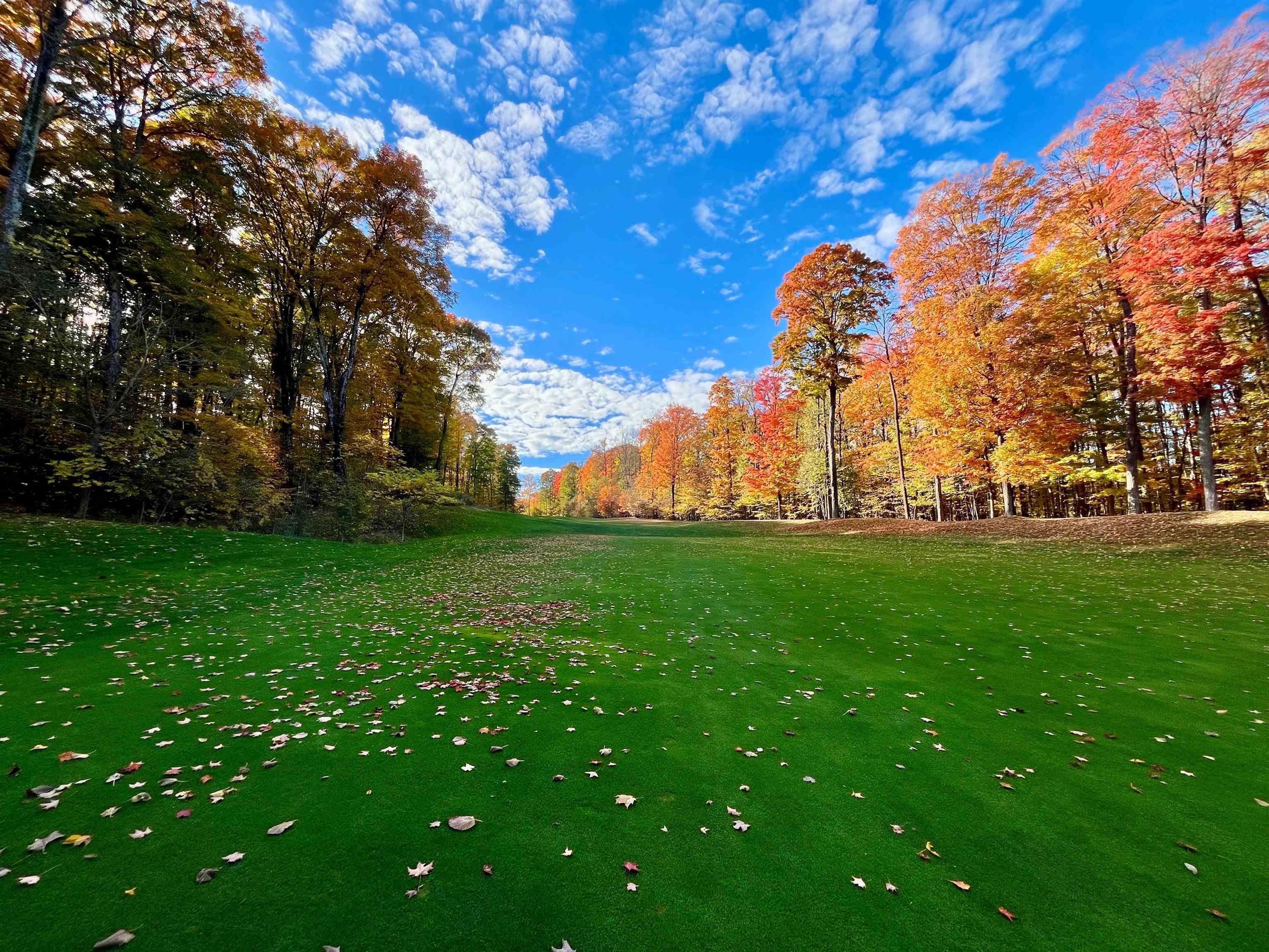 Photo of property for sale at V/L 51 Troon South, Bellaire MI 49615