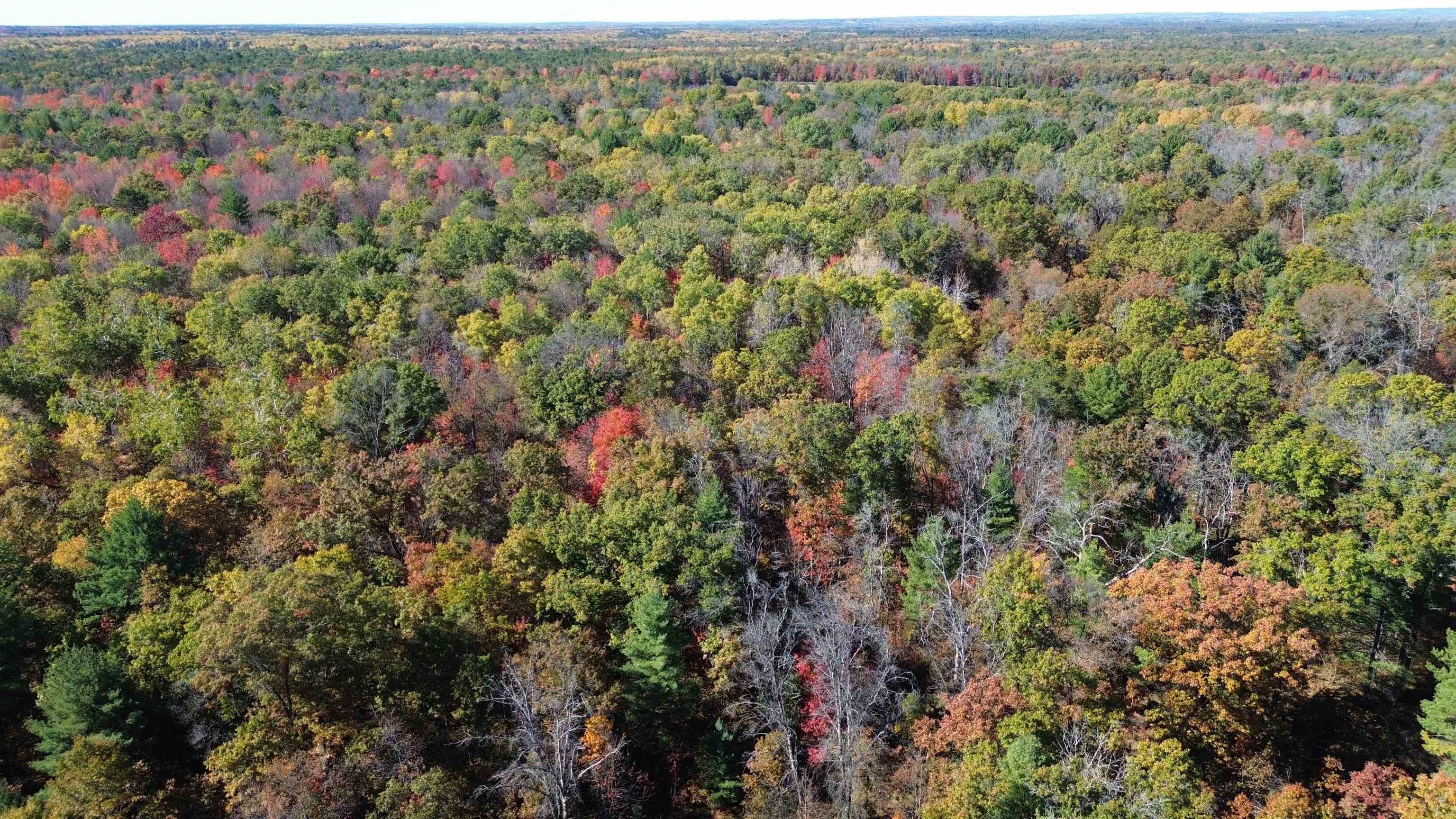 Homes for sale in Mills Township Ogemaw, MI | 4594 Timber Lane Rd, Mills Township Ogemaw, MI 48756 | MLS# 77080063747