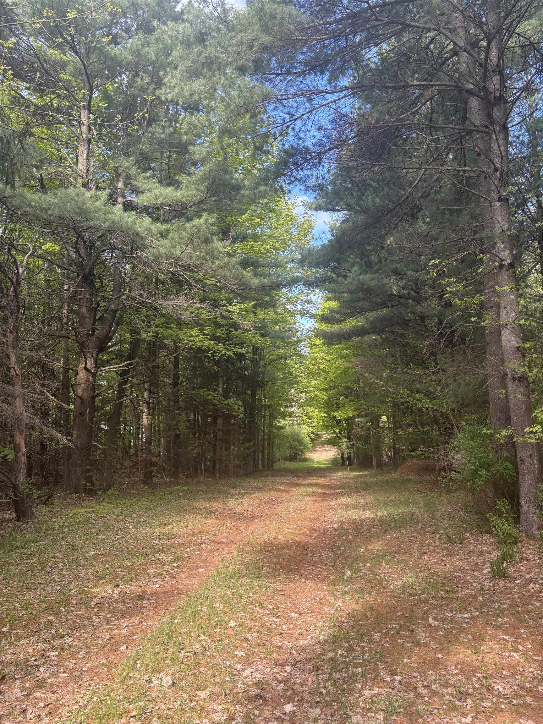 Homes for sale in Kewadin, MI | 0 Us-31, Kewadin, MI 49648 | MLS# 80063954