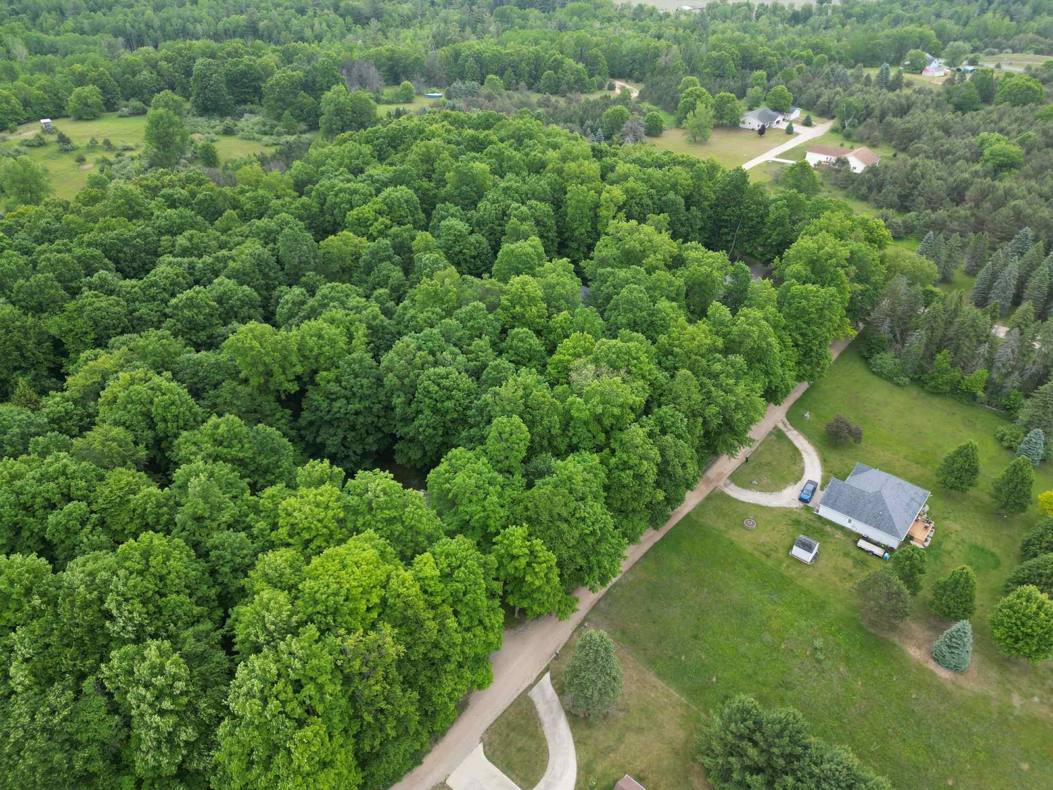 Homes for sale in Surrey Township Clare, MI | Tbd Juniper Dr, Surrey Township Clare, MI 48622 | MLS# 79080064103
