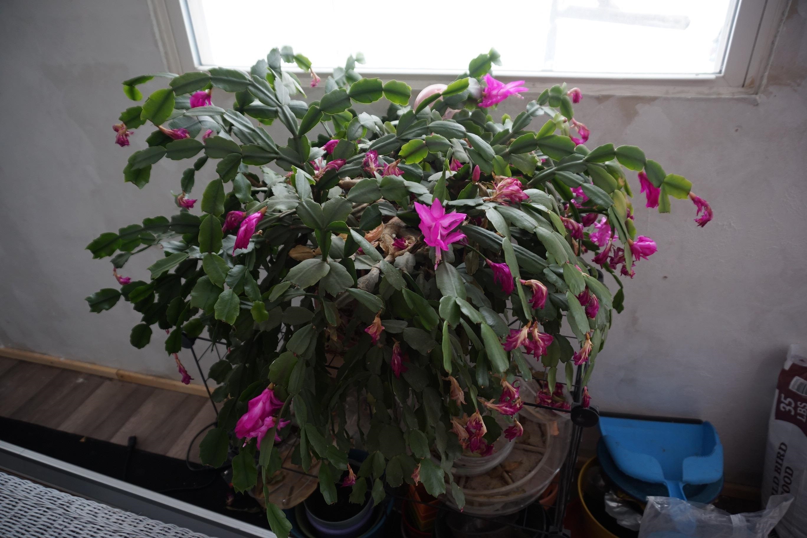 6970 Wickert Road, Hale, MI, 48739