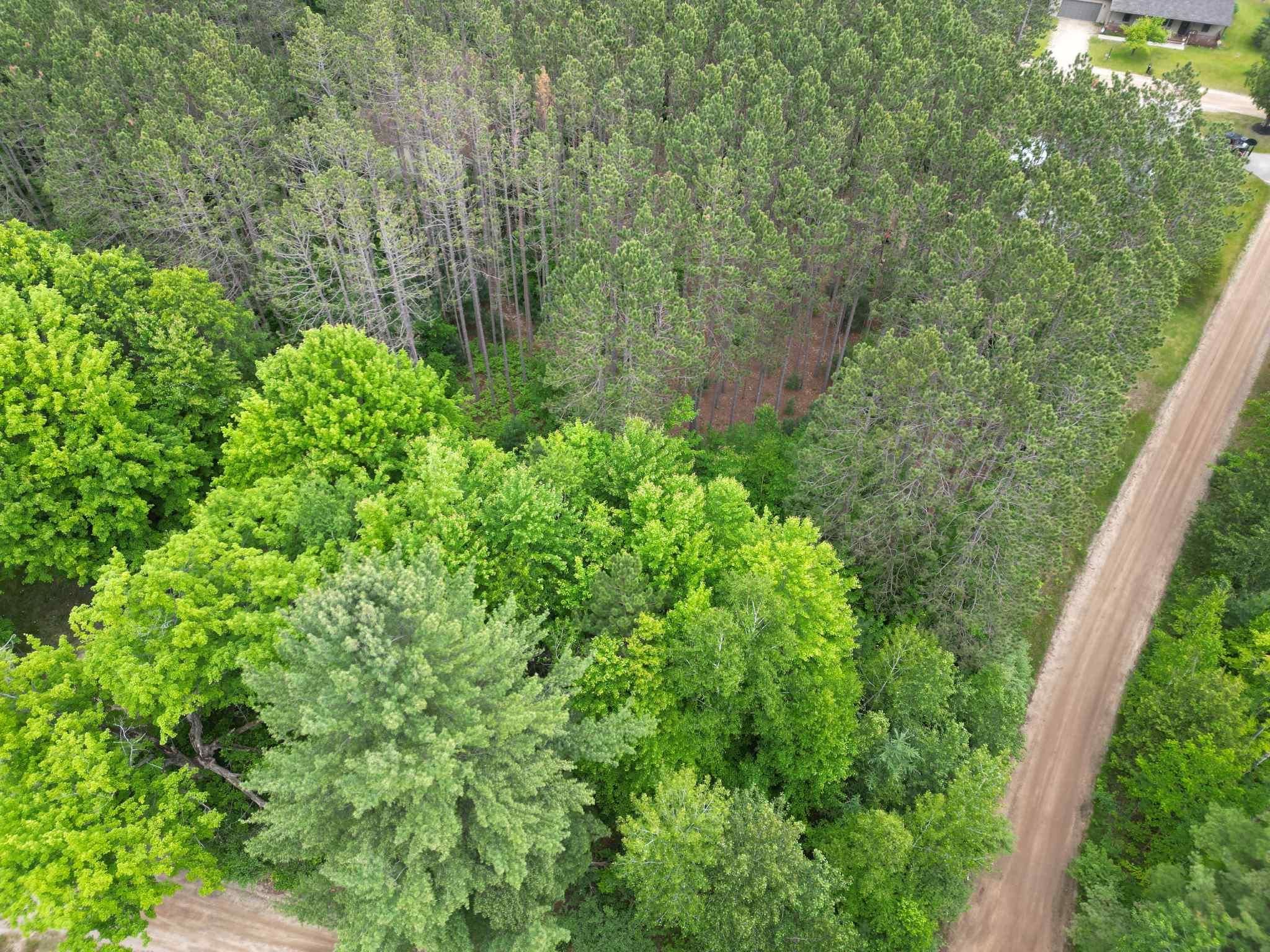 Homes for sale in Surrey Township Clare, MI | Tbd Wintergreen, Surrey Township Clare, MI 48622 | MLS# 79080064254