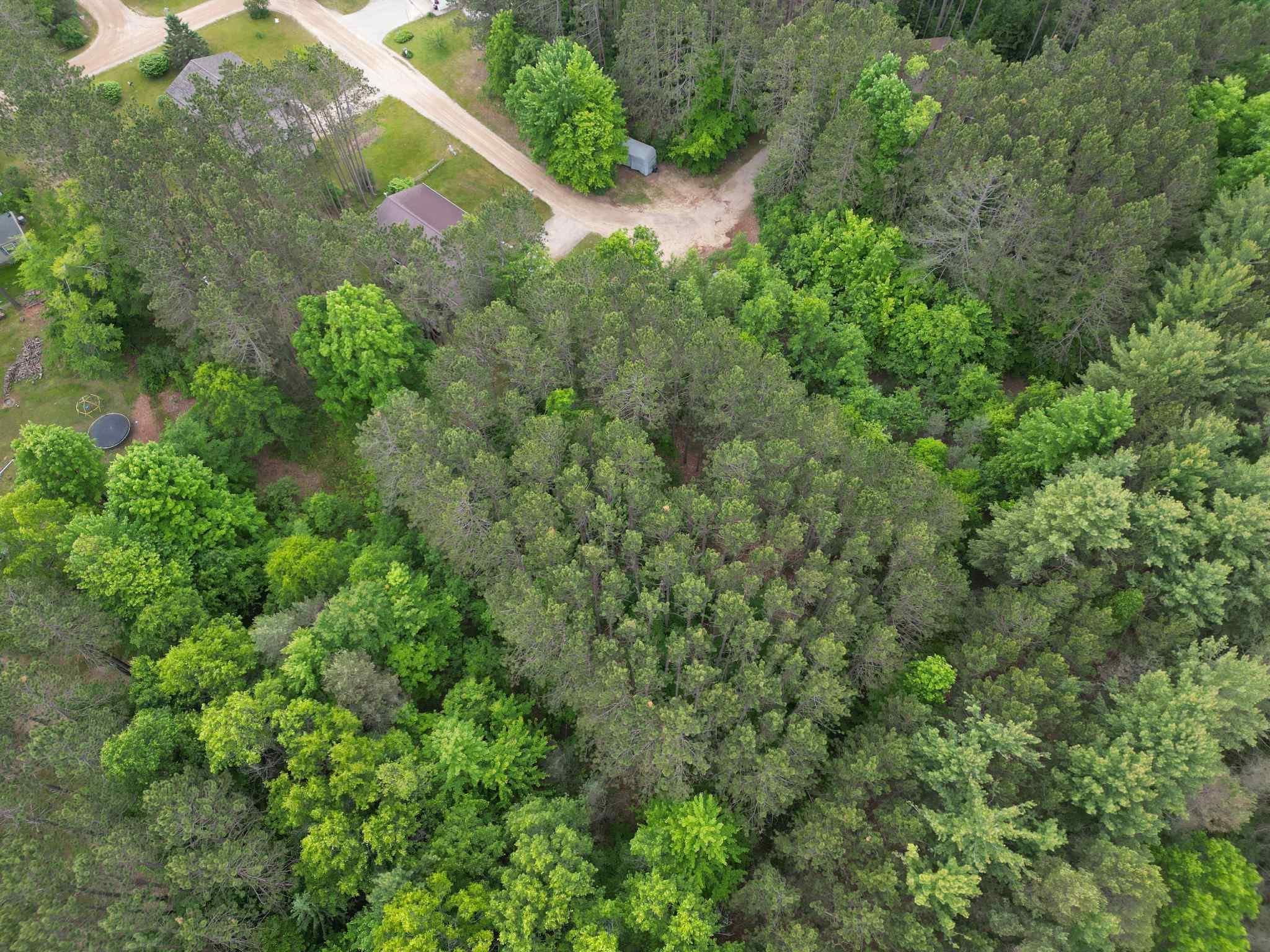 Photo 3 of Land for sale at Tbd Primrose Ln, Farwell, MI 48622 | MLS# 79080064256 | Listing updated on 2026-09-15