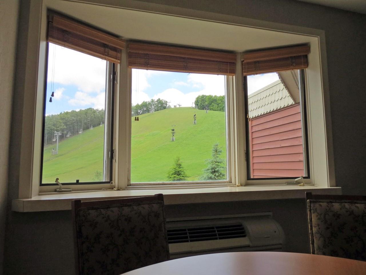 12400-UNIT&nbsp;346 Crystal Mountain Drive #346, Thompsonville, MI, 49683