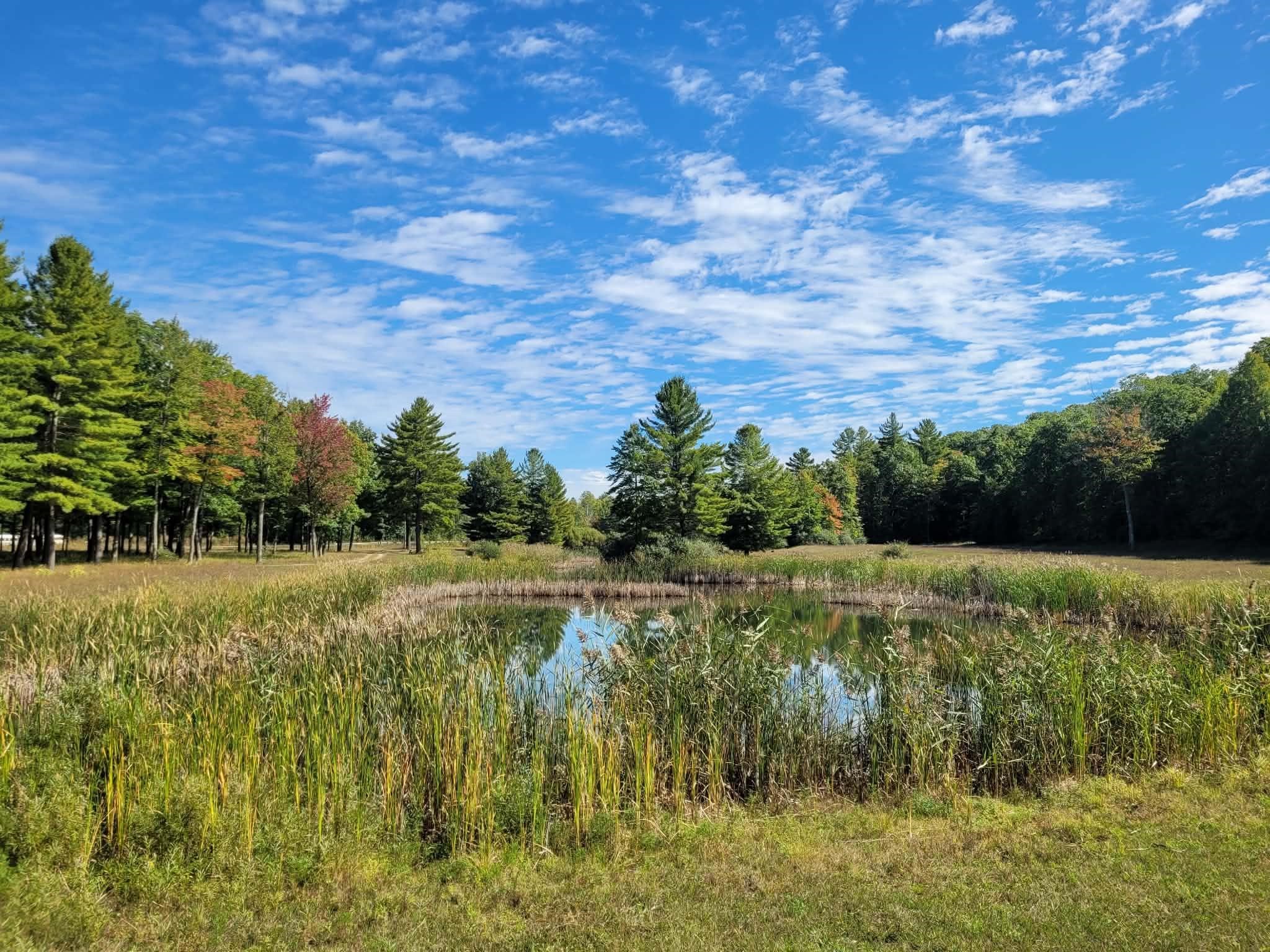 Photo 1 of Land for sale at 0 W M 55, South Branch Township Wexford, MI 49689 | MLS# 78080064761 | Listing updated on 2026-09-28