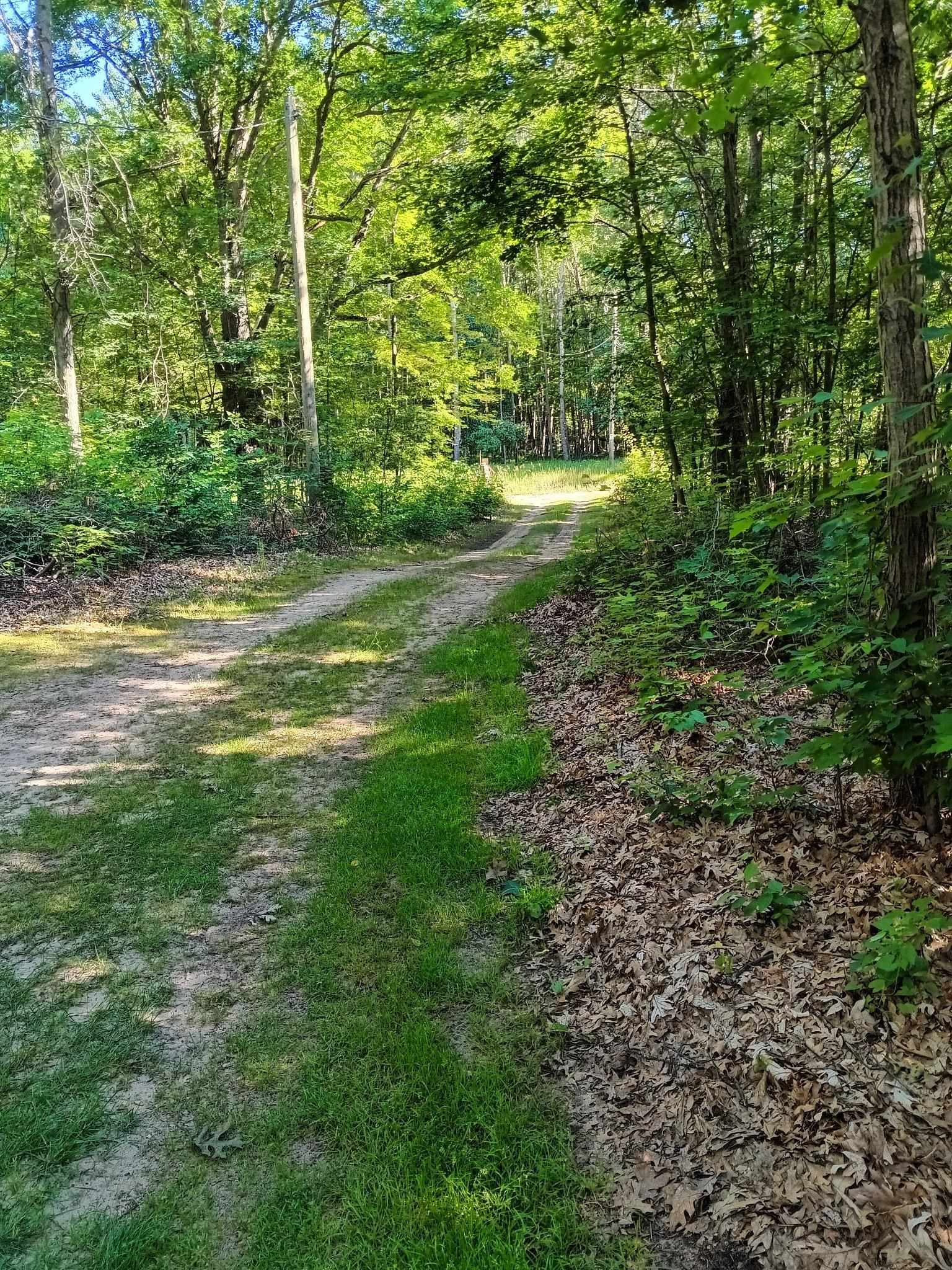 3rd image of 7907 W Weidman Rd, Mount Pleasant, MI 48858 | MLS# 80064788
