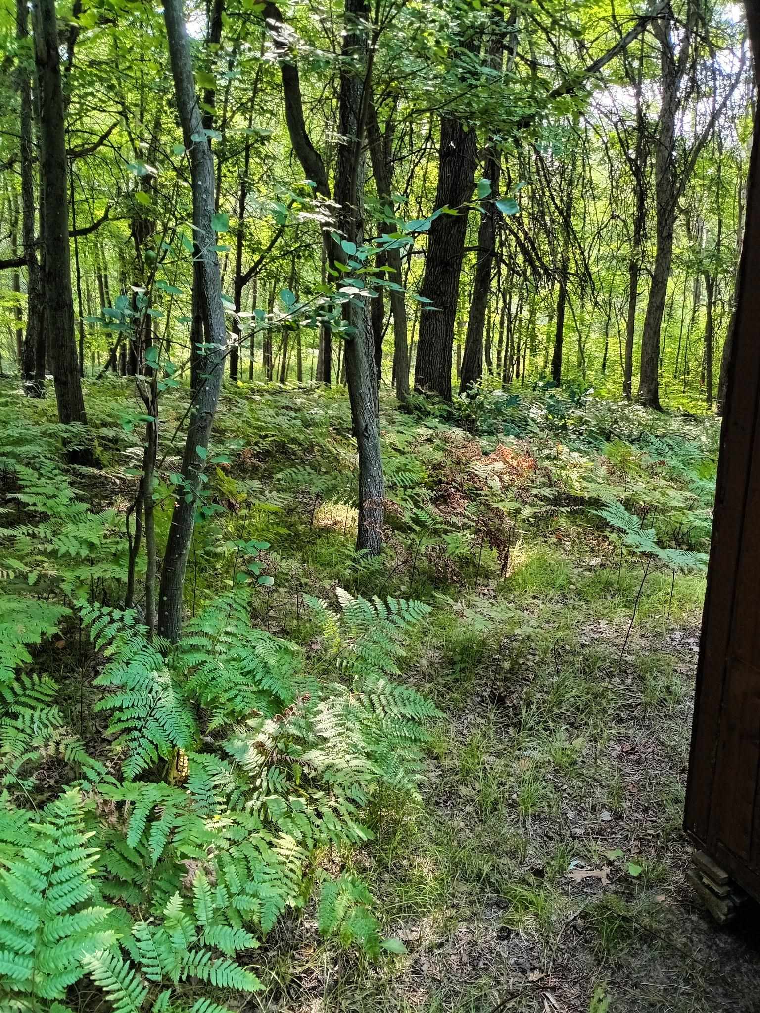 23rd image of 7907 W Weidman Rd, Mount Pleasant, MI 48858 | MLS# 80064788