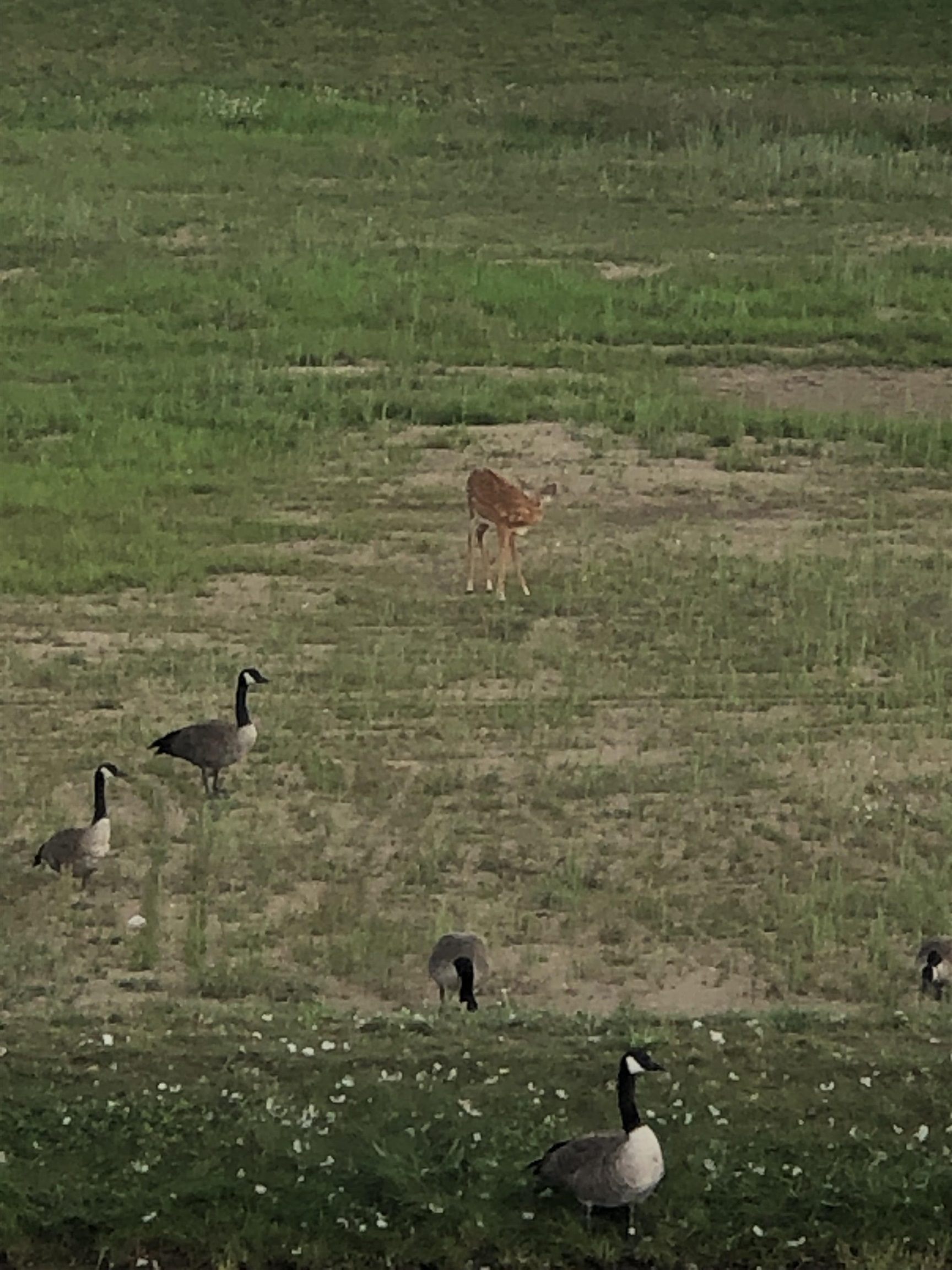 5102 Sheffer Farm Road, Traverse City, MI, 49685