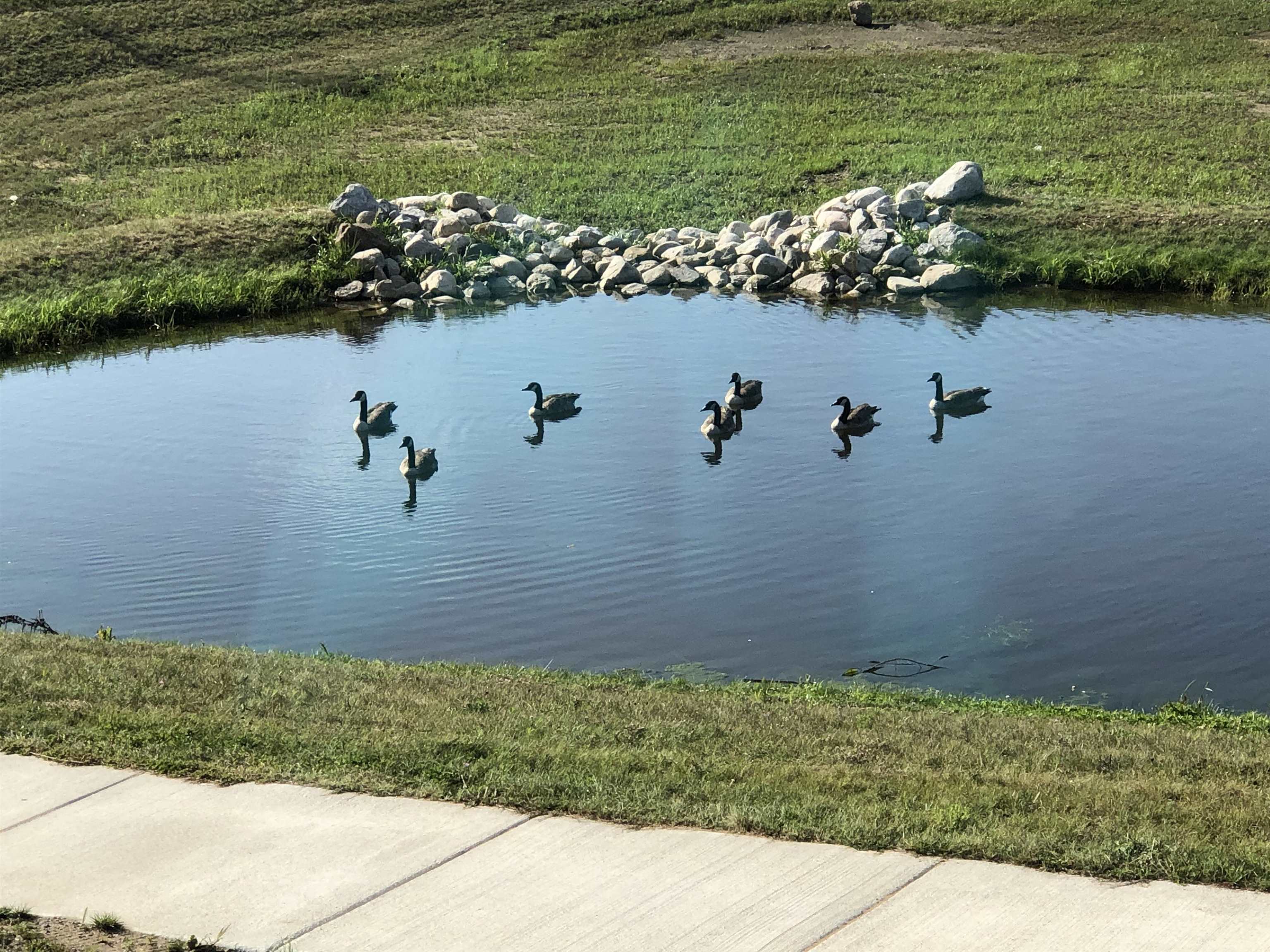 5102 Sheffer Farm Road, Traverse City, MI, 49685