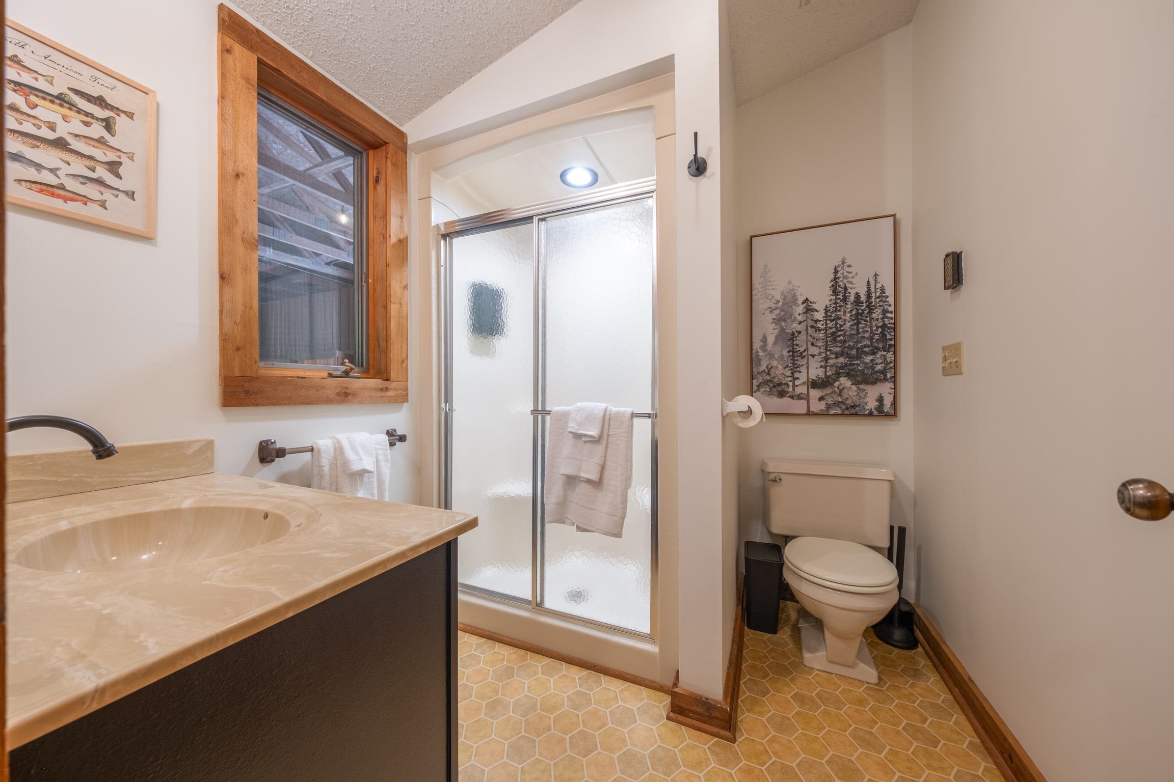 5811 East Village Drive, Bellaire, MI, 49615