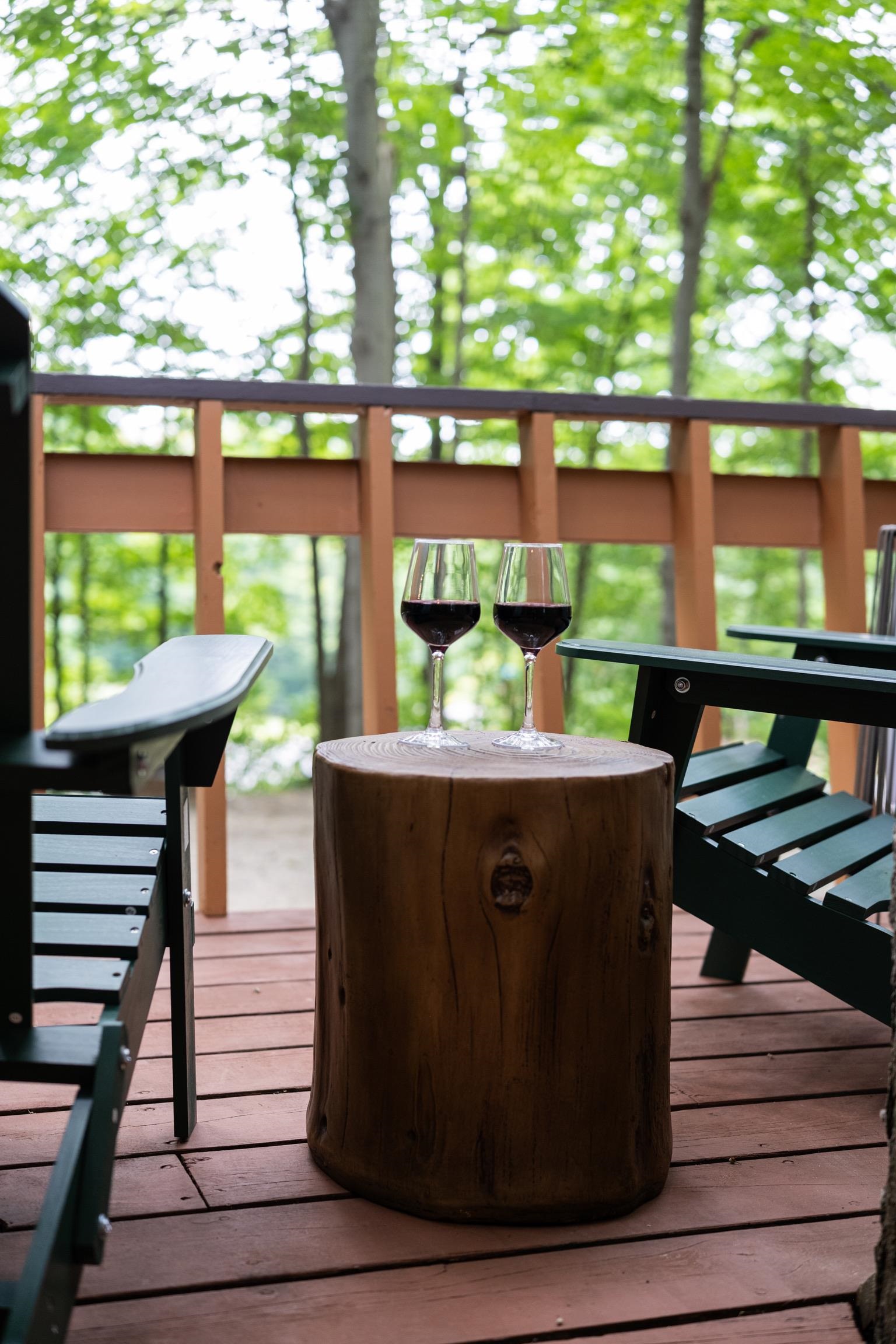 5811 East Village Drive, Bellaire, MI, 49615