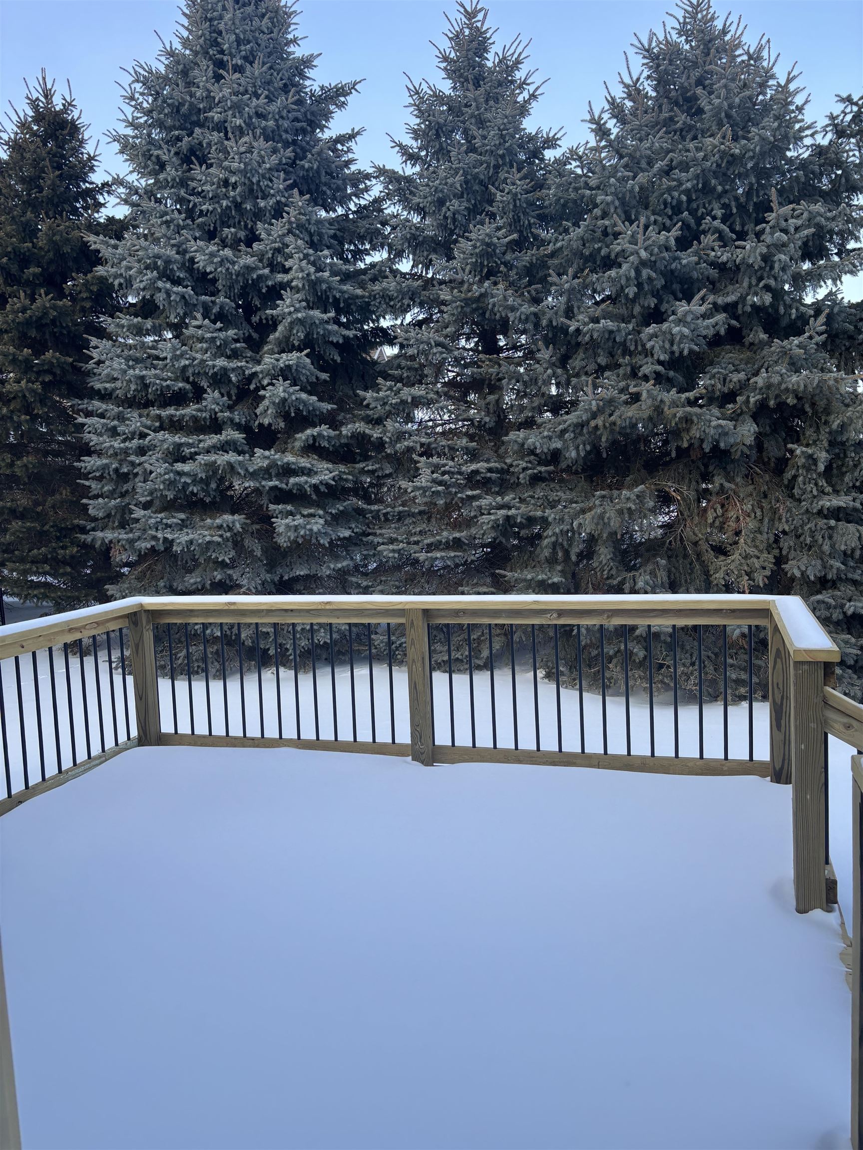 Mount Pleasant, MI, 48858