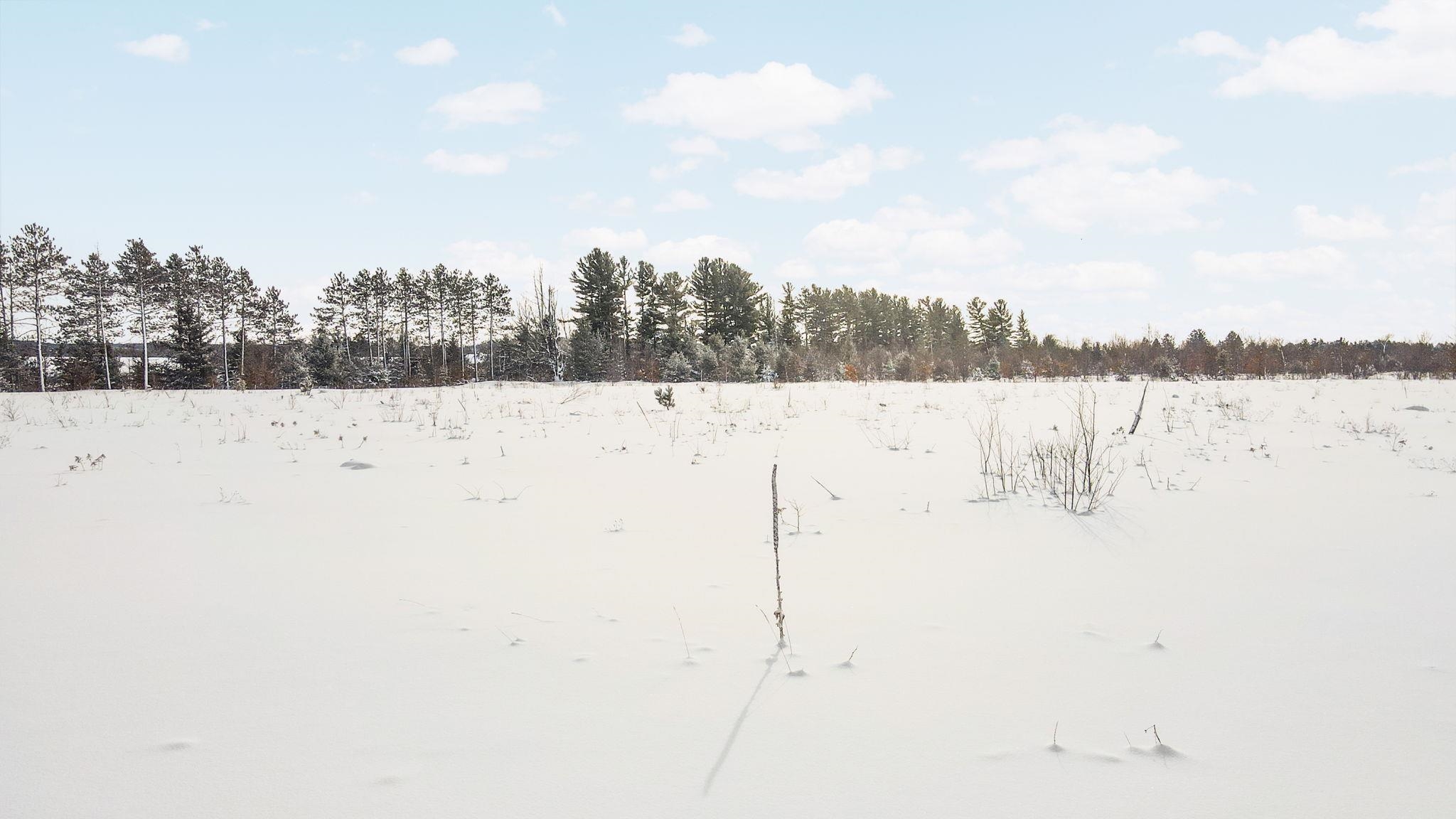 Homes for sale in Mancelona, MI | Kresnak Rd, Mancelona, MI 49659 | MLS# 80065178