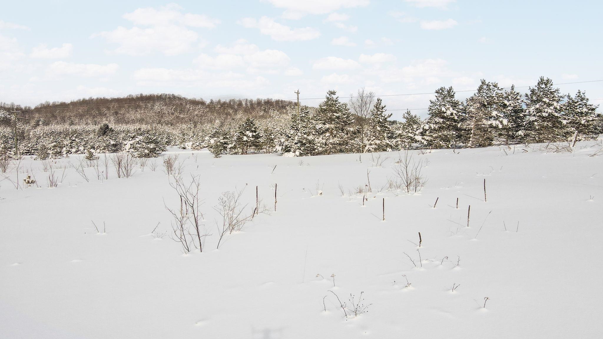 Homes for sale in Mancelona, MI | Kresnak Rd, Mancelona, MI 49659 | MLS# 80065178