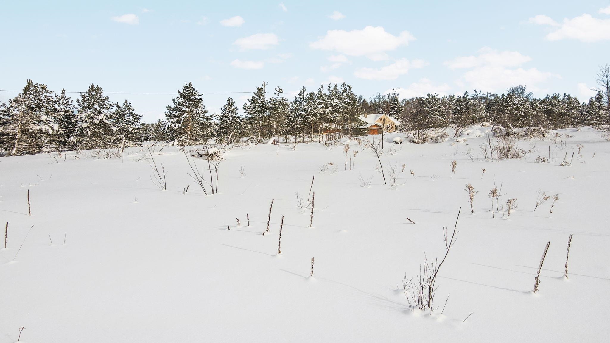 Homes for sale in Mancelona, MI | Kresnak Rd, Mancelona, MI 49659 | MLS# 80065178