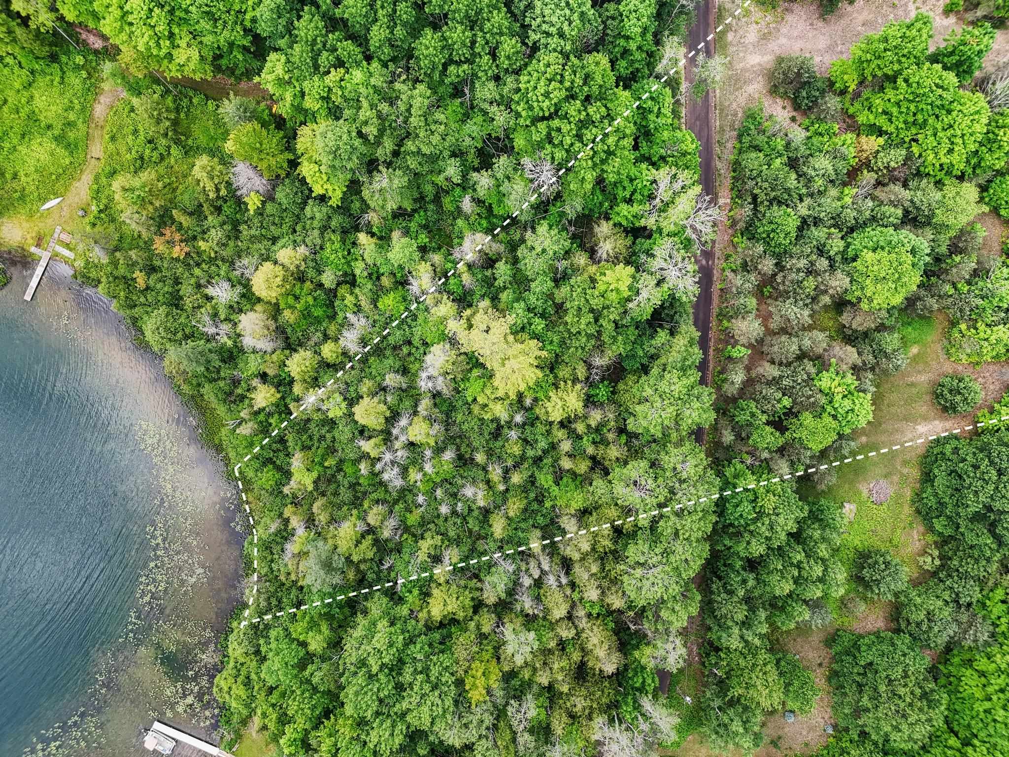 Homes for sale in Lake Ann, MI | 00 Harris Point Trl, Lake Ann, MI 49650 | MLS# 80065188