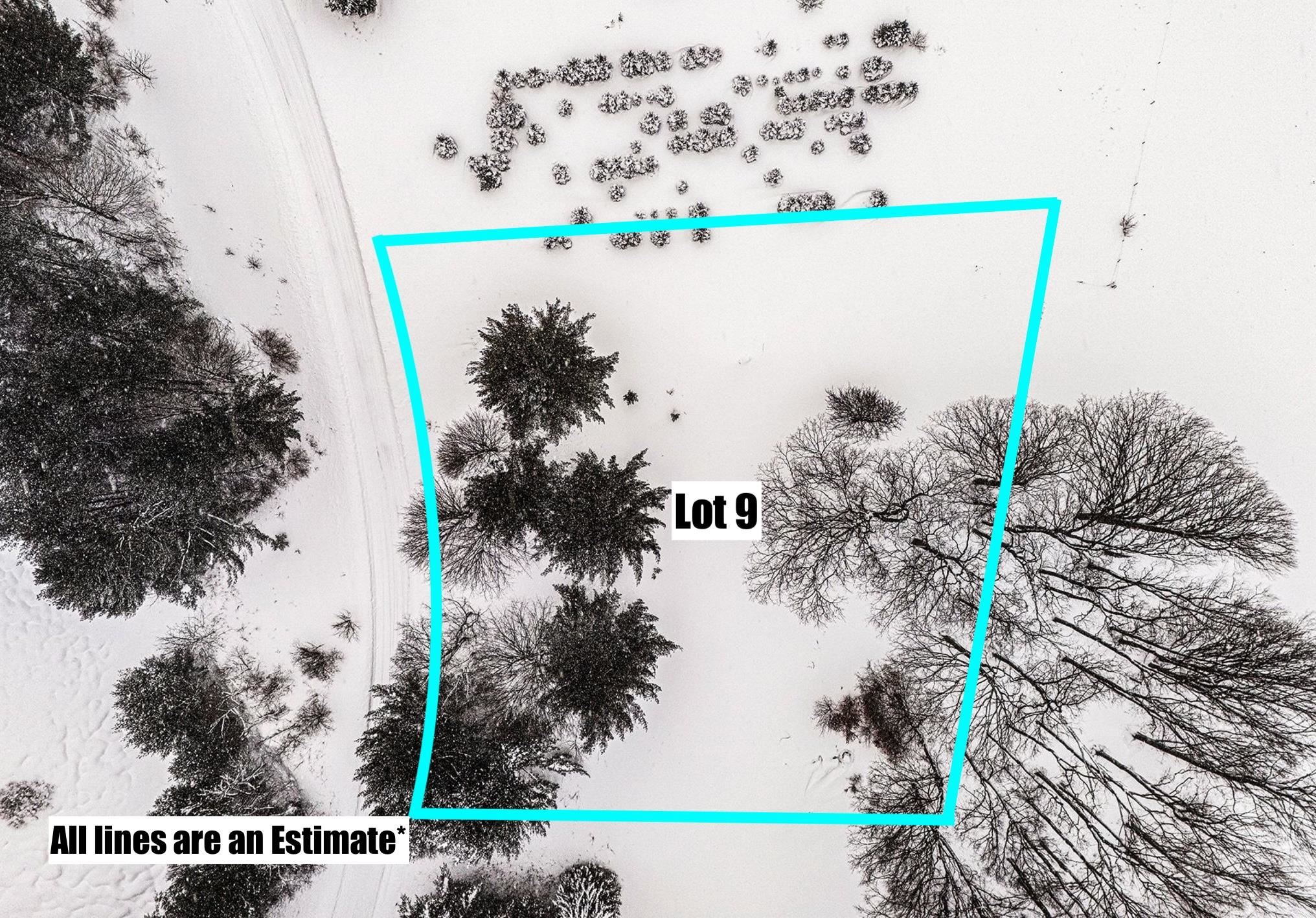 Lot UNIT&nbsp;9 Kadi Lane, Lake Ann, MI, 49650