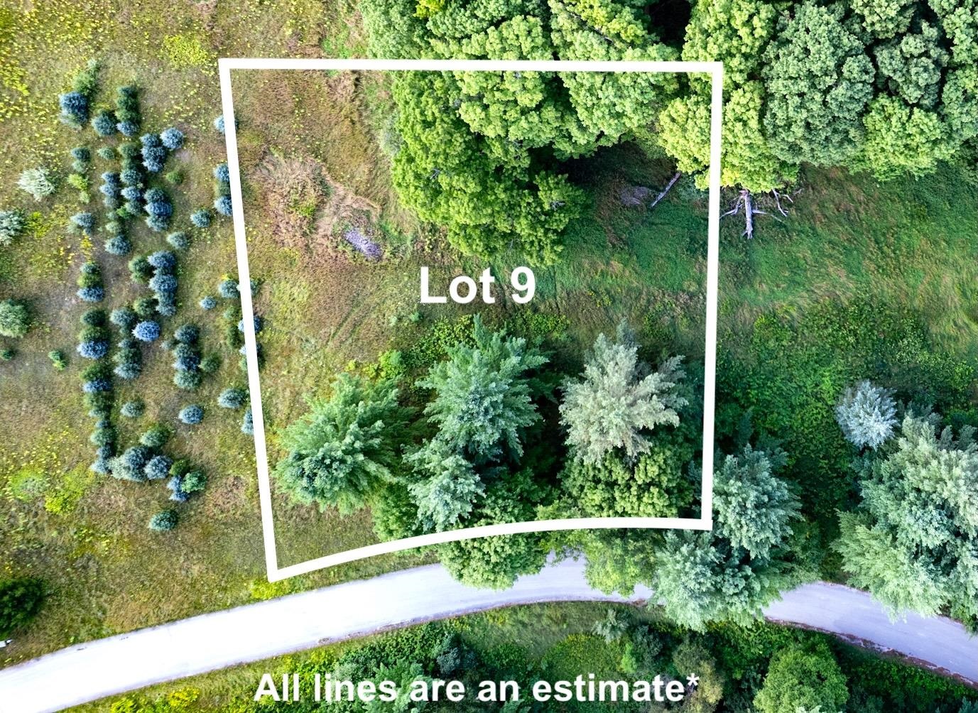 Lot UNIT&nbsp;9 Kadi Lane, Lake Ann, MI, 49650