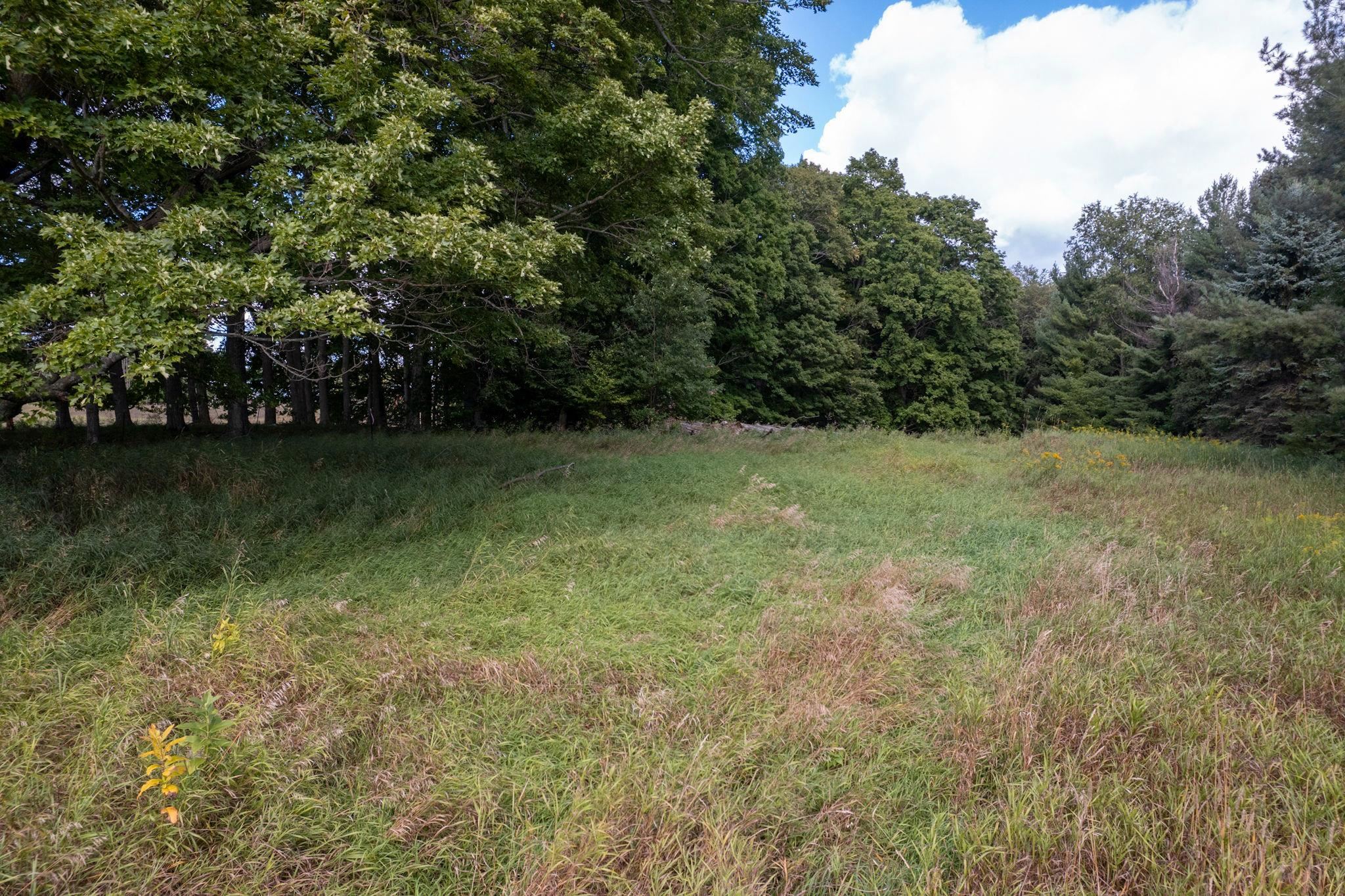 Lot UNIT&nbsp;9 Kadi Lane, Lake Ann, MI, 49650