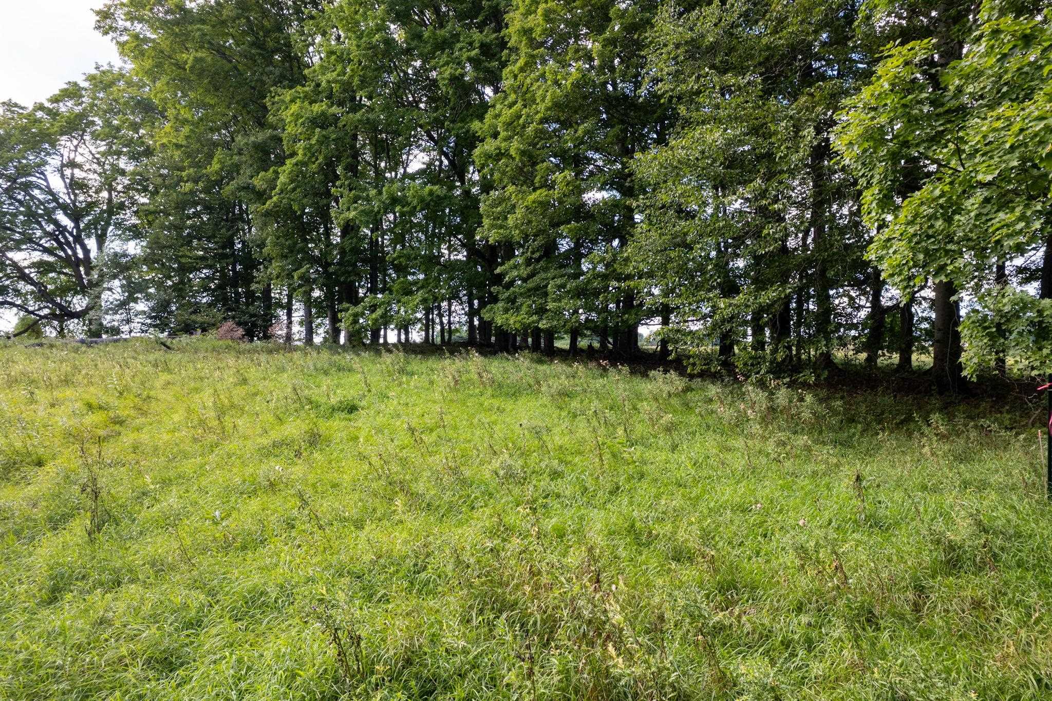 Lot UNIT&nbsp;9 Kadi Lane, Lake Ann, MI, 49650