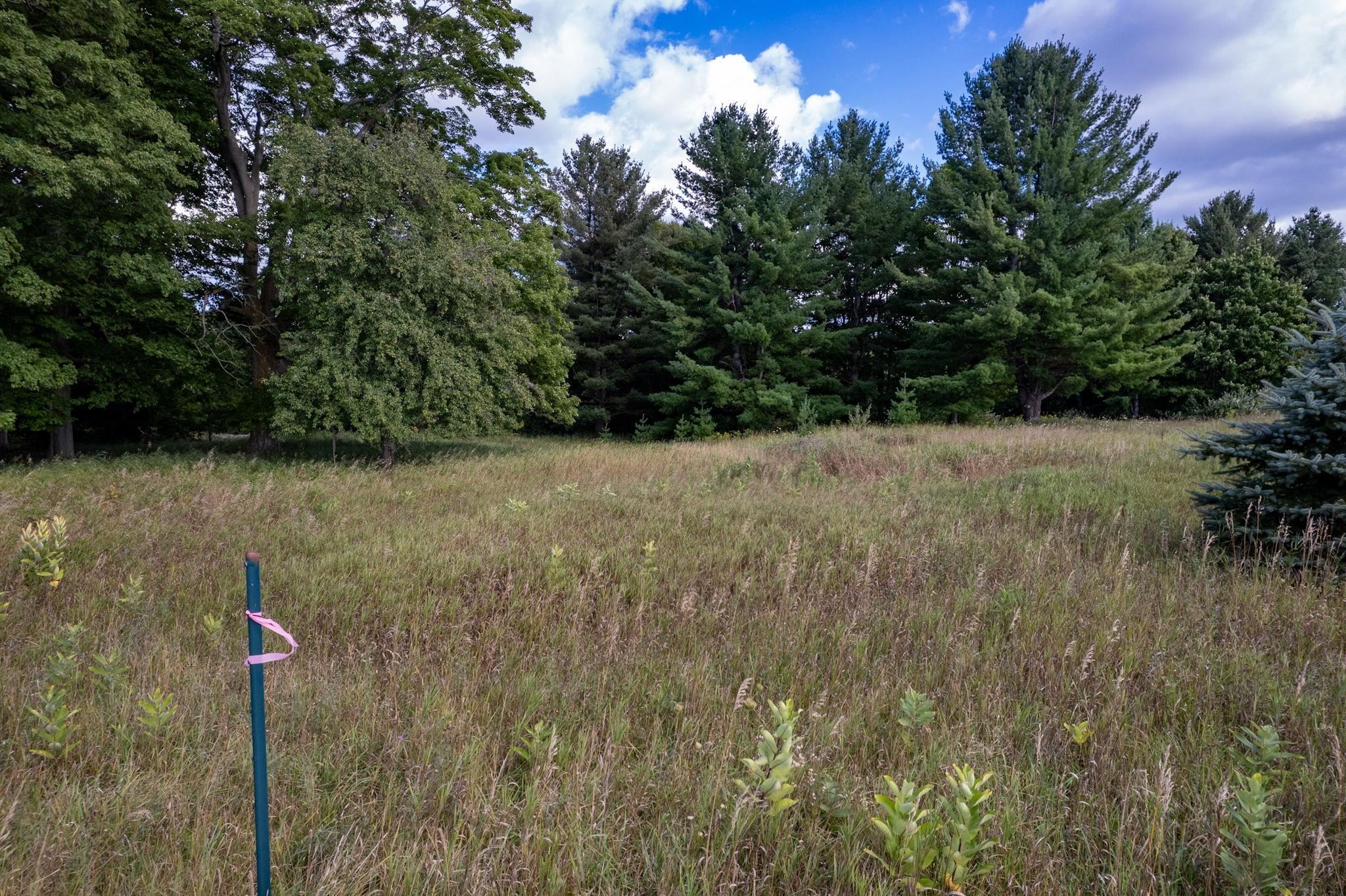 Lot UNIT&nbsp;9 Kadi Lane, Lake Ann, MI, 49650