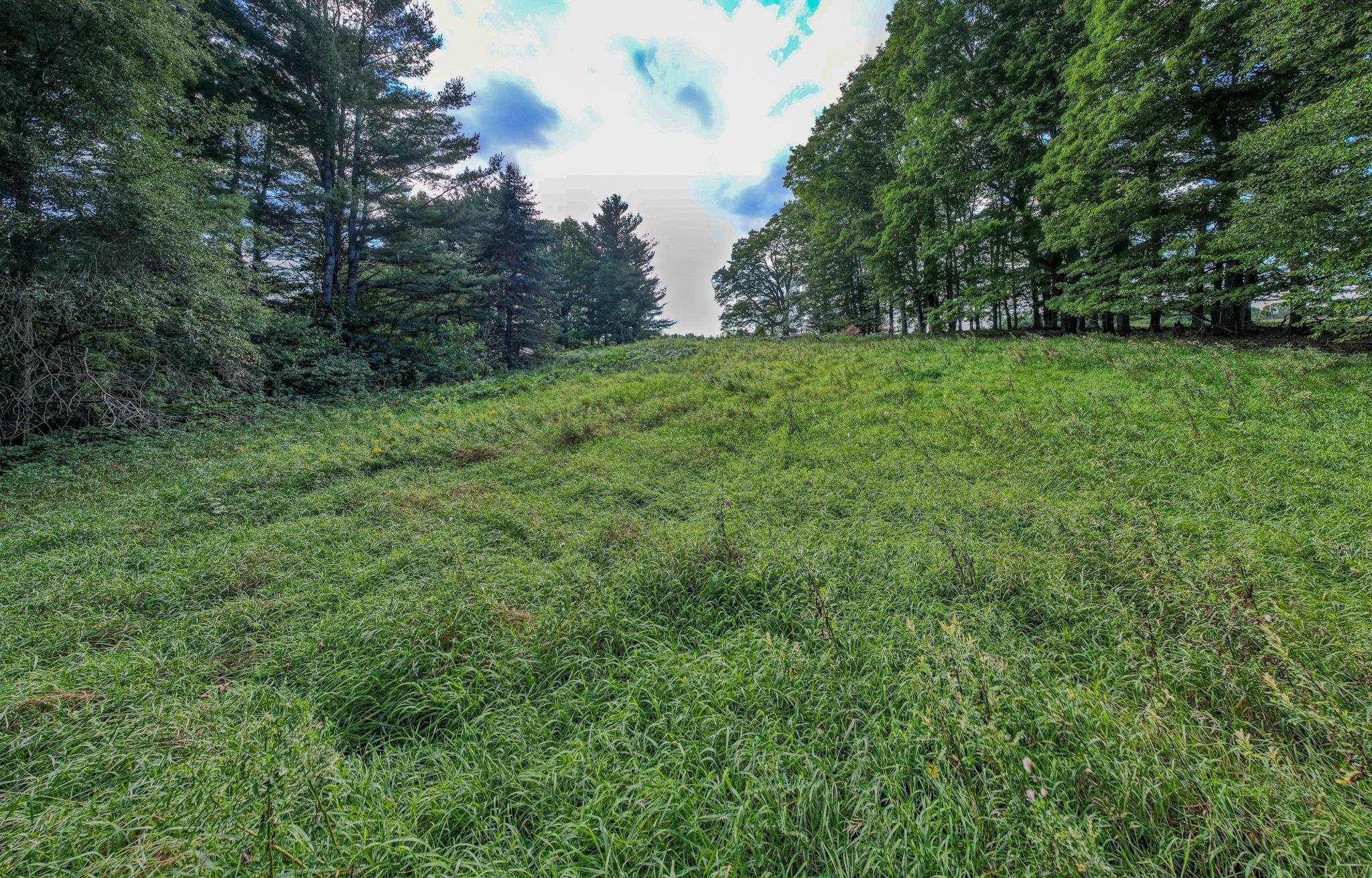 Lot UNIT&nbsp;9 Kadi Lane, Lake Ann, MI, 49650