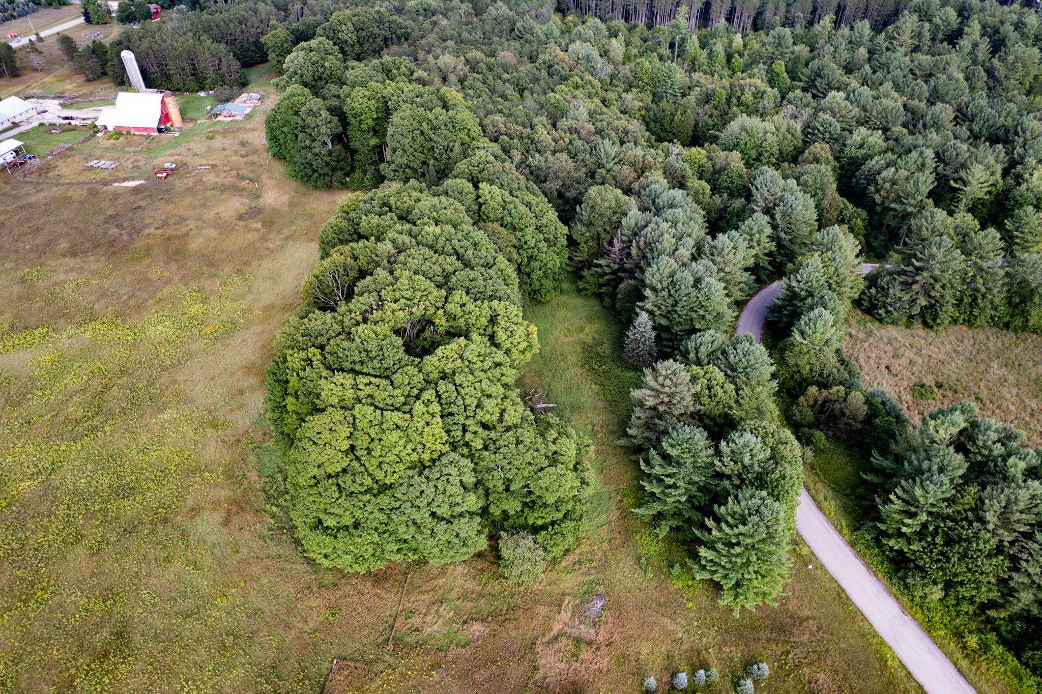 Lot UNIT&nbsp;9 Kadi Lane, Lake Ann, MI, 49650