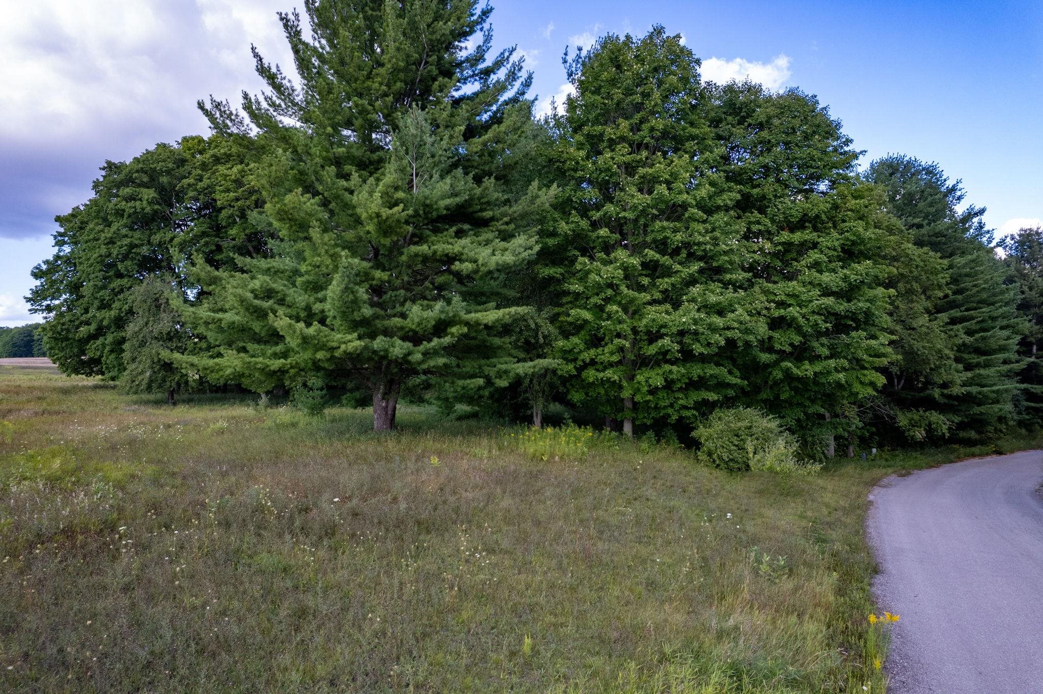 Lot UNIT&nbsp;9 Kadi Lane, Lake Ann, MI, 49650