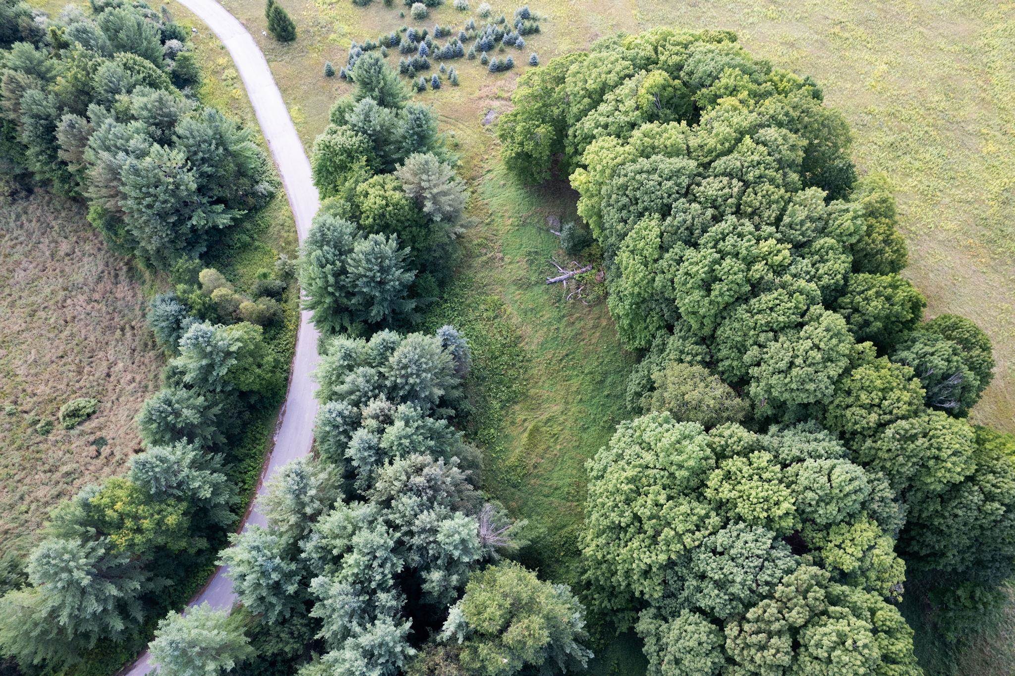 Lot UNIT&nbsp;9 Kadi Lane, Lake Ann, MI, 49650