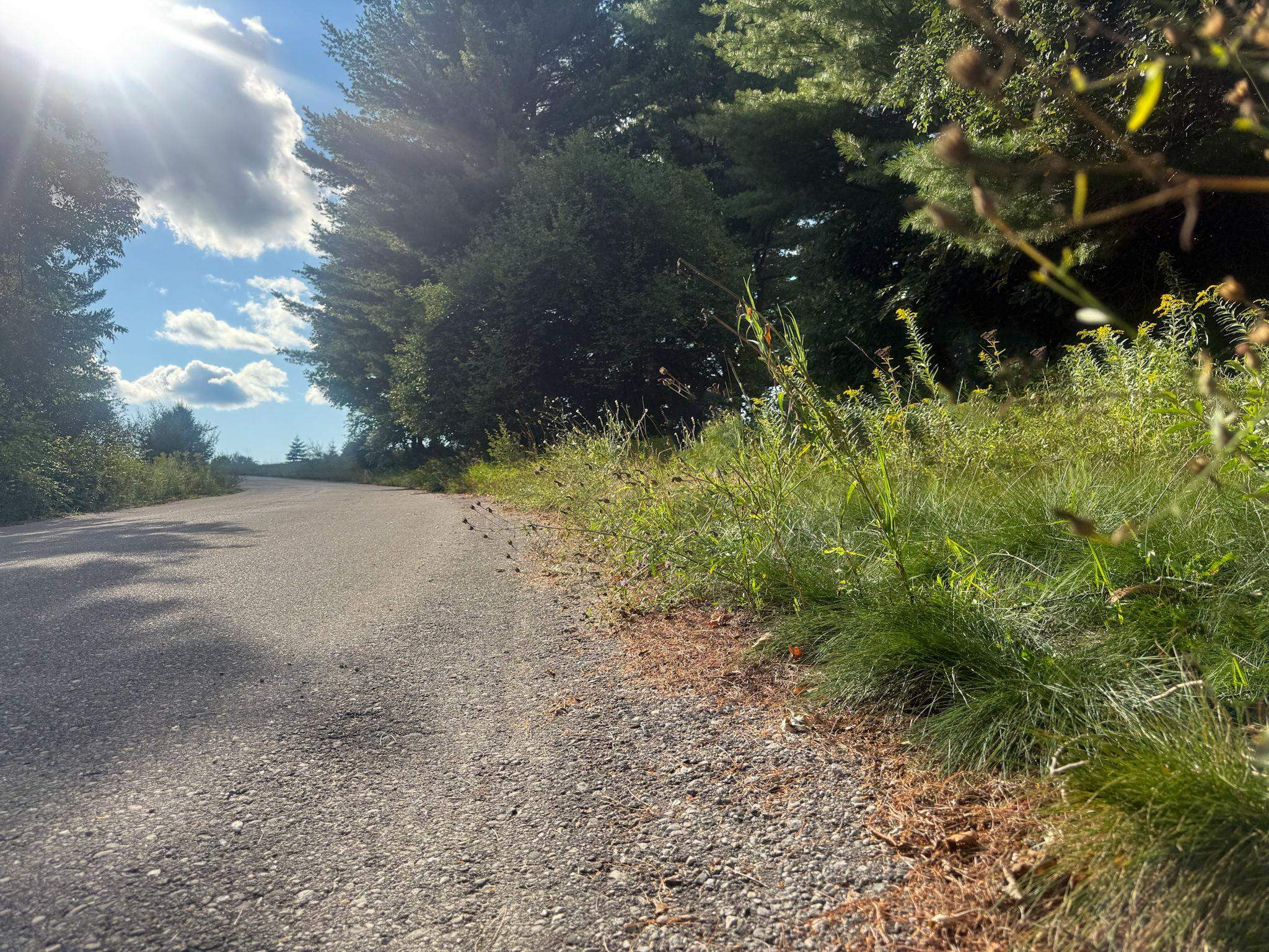 Lot UNIT&nbsp;9 Kadi Lane, Lake Ann, MI, 49650