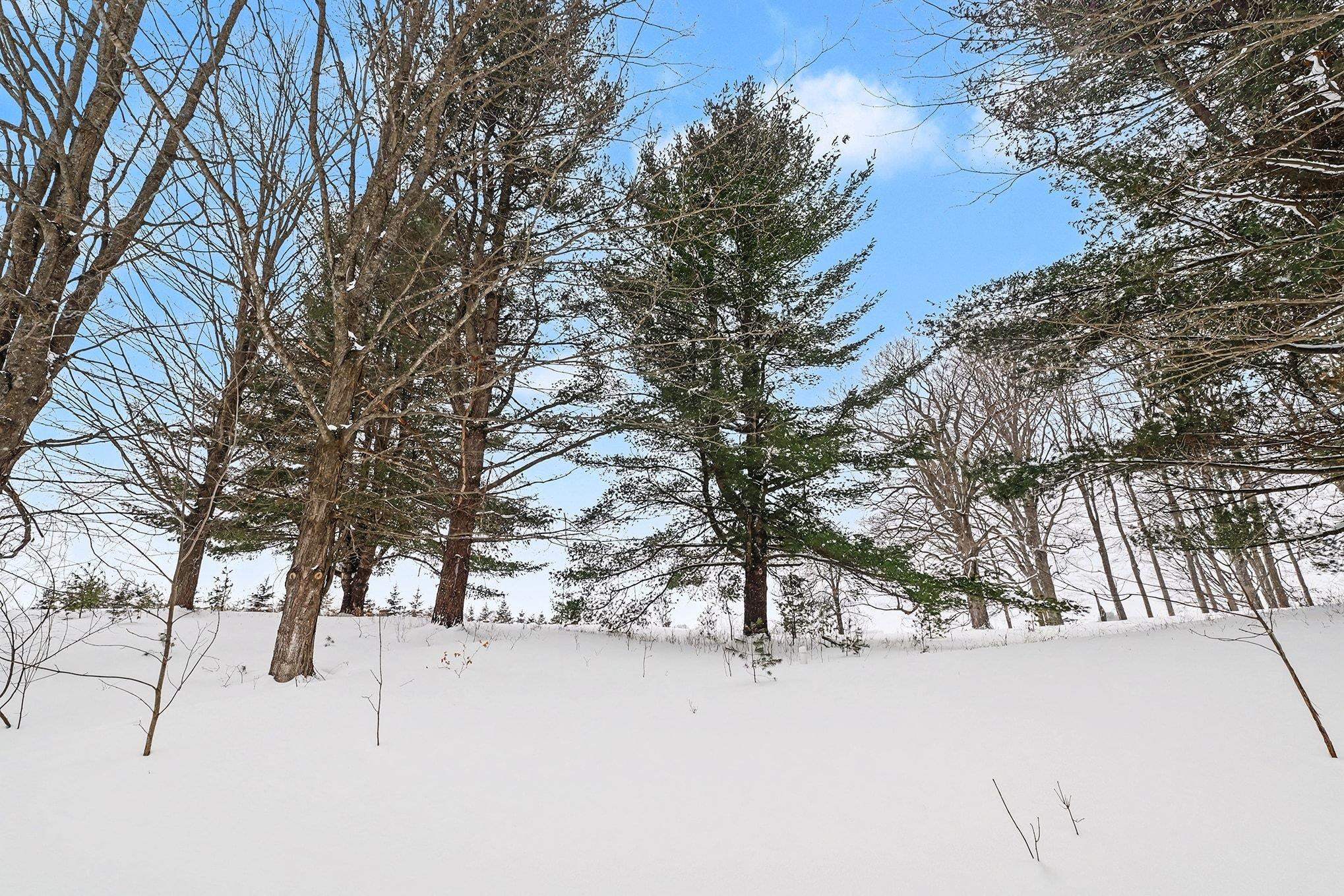 Lot UNIT&nbsp;9 Kadi Lane, Lake Ann, MI, 49650