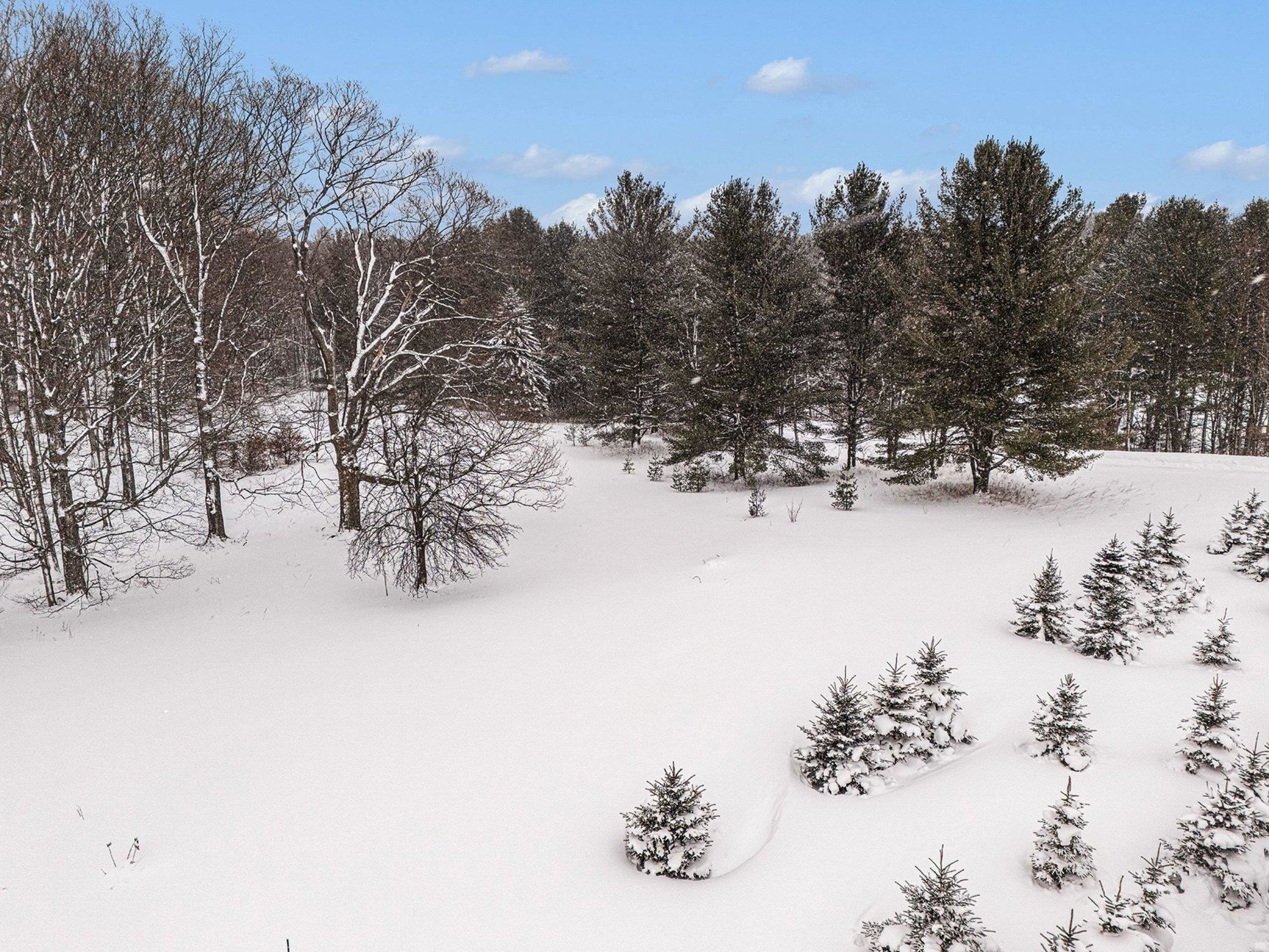 Lot UNIT&nbsp;9 Kadi Lane, Lake Ann, MI, 49650