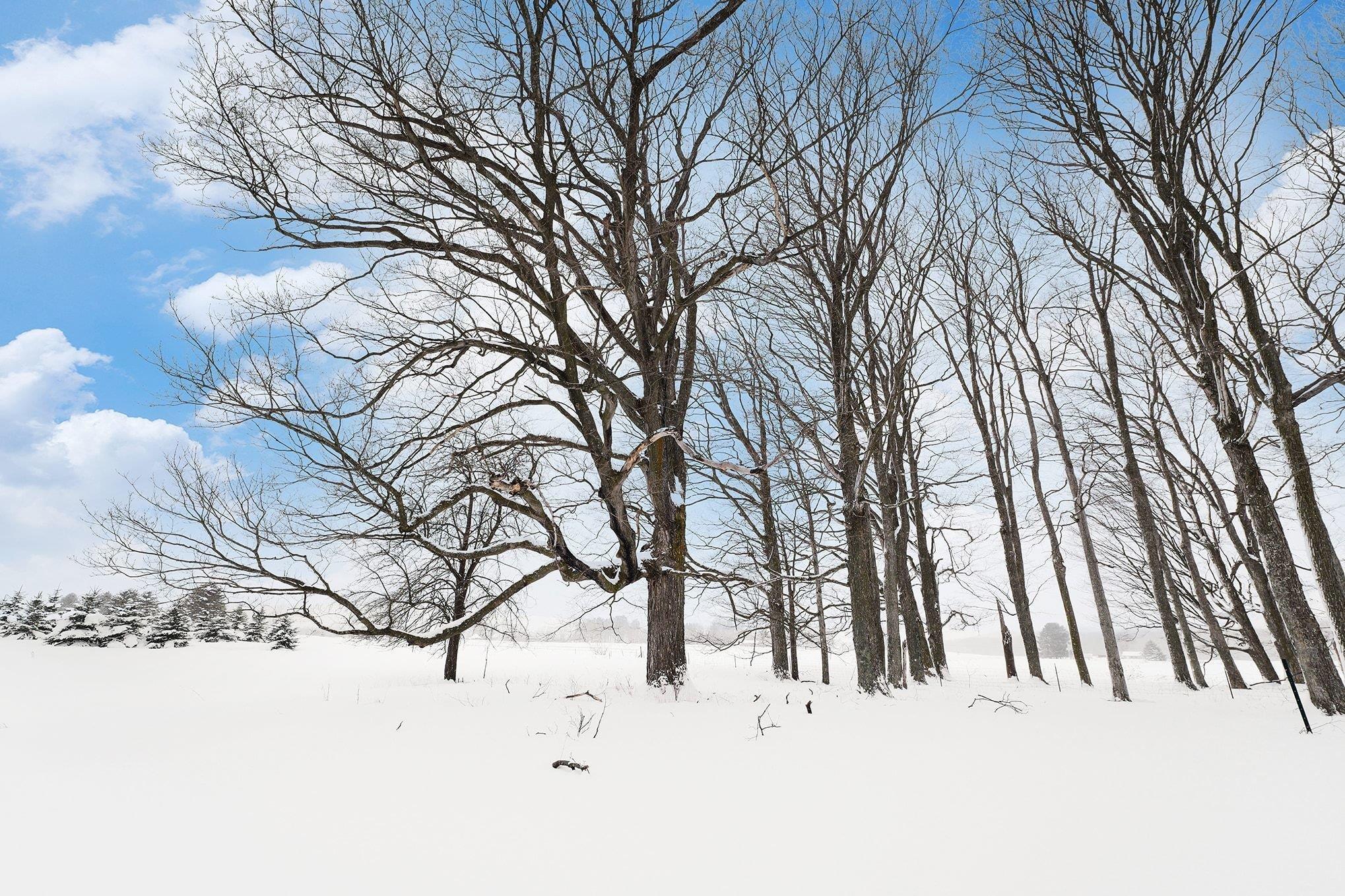 Lot UNIT&nbsp;9 Kadi Lane, Lake Ann, MI, 49650