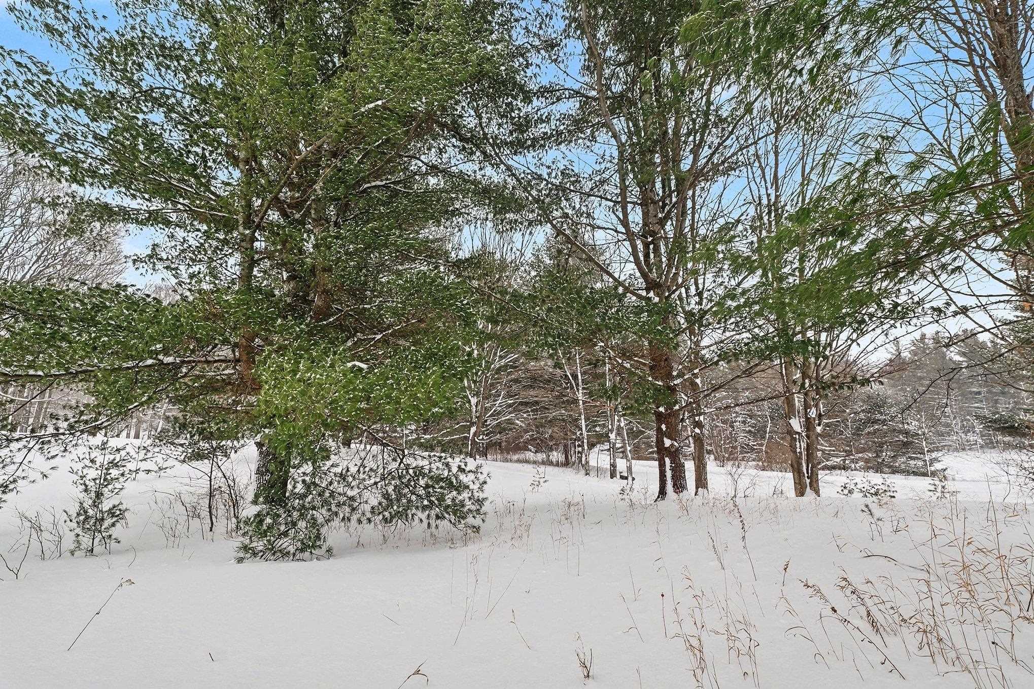 Lot UNIT&nbsp;9 Kadi Lane, Lake Ann, MI, 49650