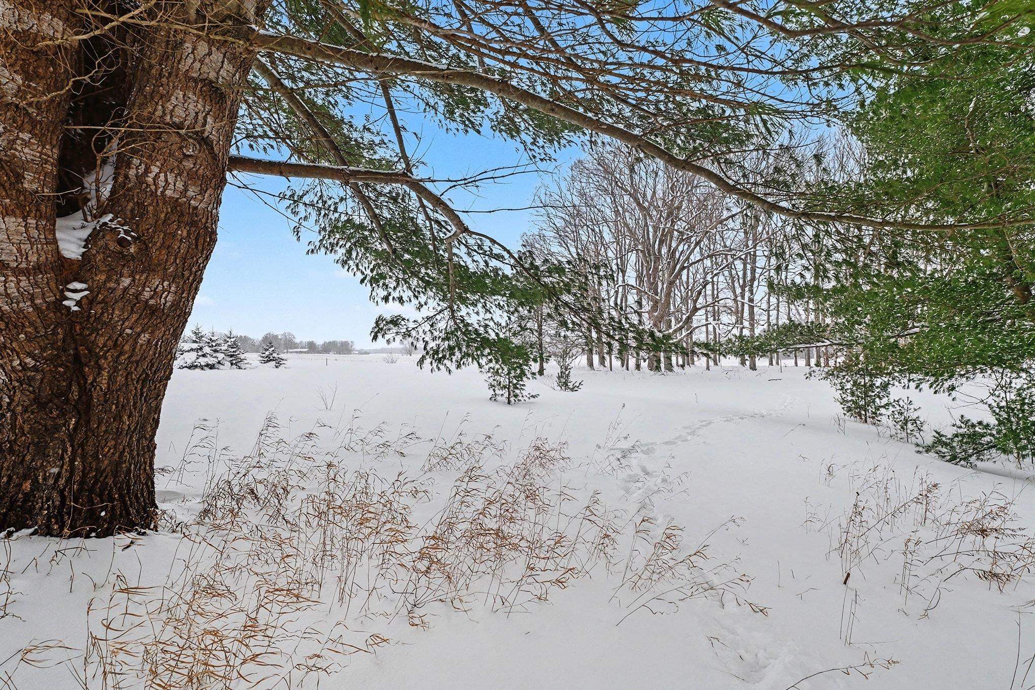 Lot UNIT&nbsp;9 Kadi Lane, Lake Ann, MI, 49650