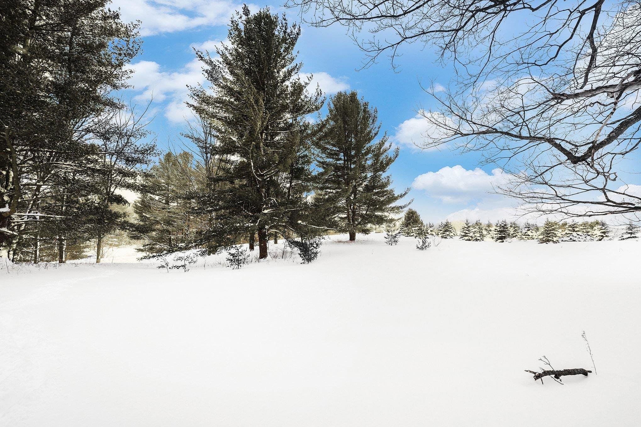 Lot UNIT&nbsp;9 Kadi Lane, Lake Ann, MI, 49650