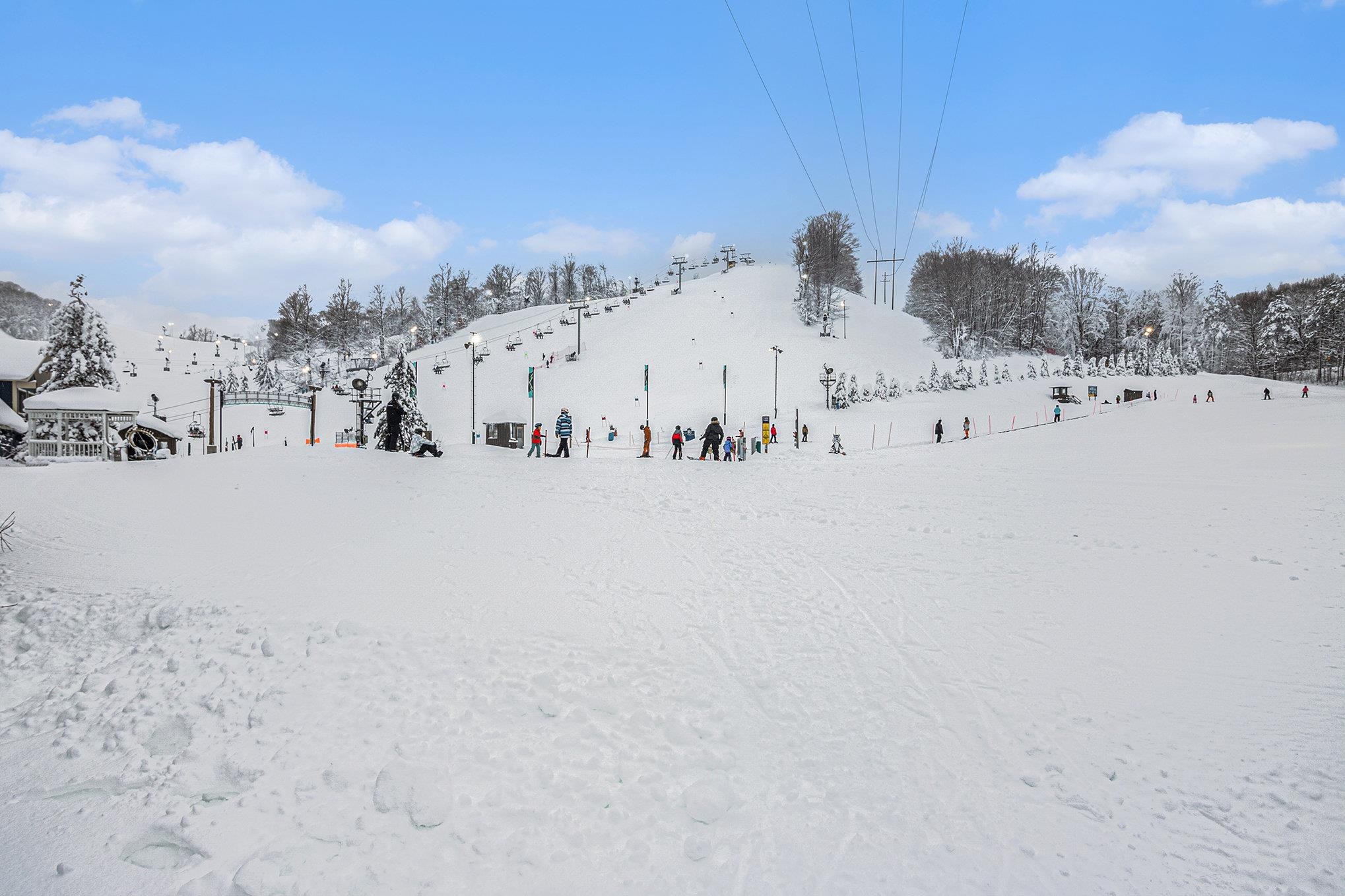  UNIT 285/87/89, Thompsonville, MI, 49683