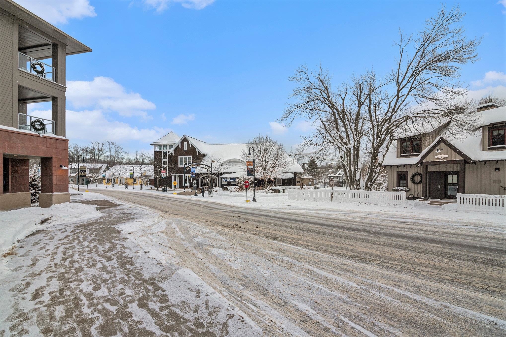  UNIT 285/87/89, Thompsonville, MI, 49683