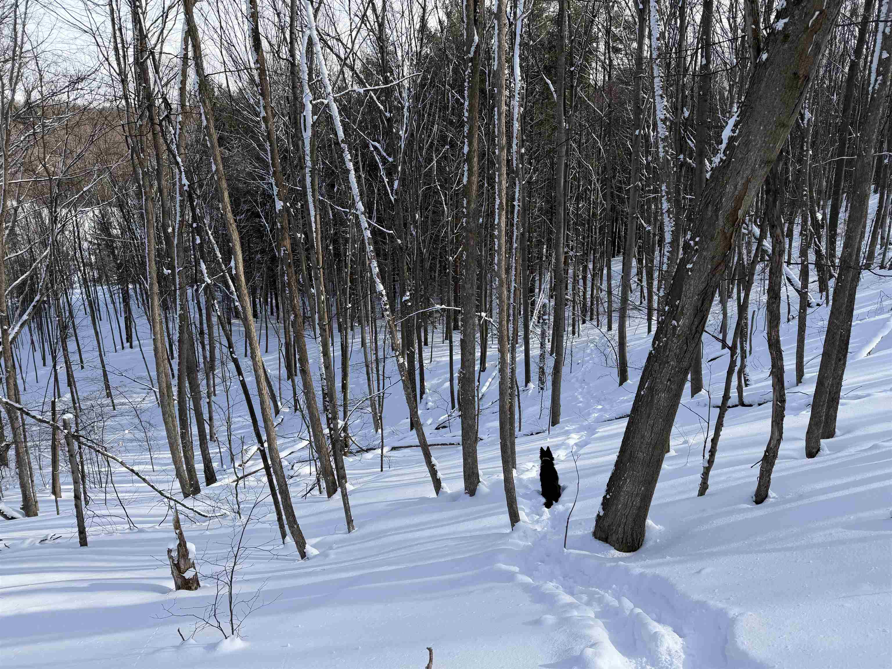 N Christianson Road, Northport, MI, 49670