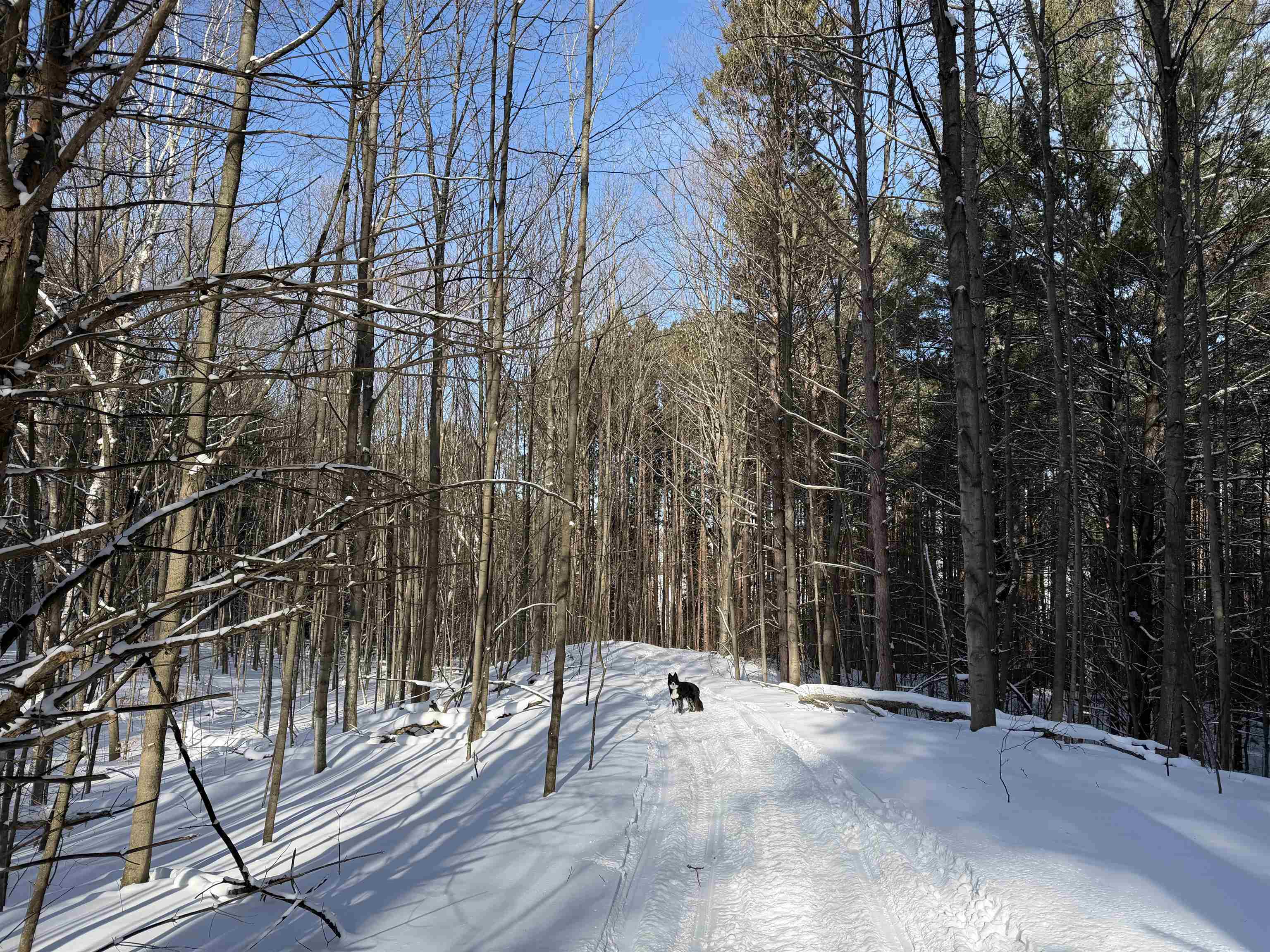 N Christianson Road, Northport, MI, 49670