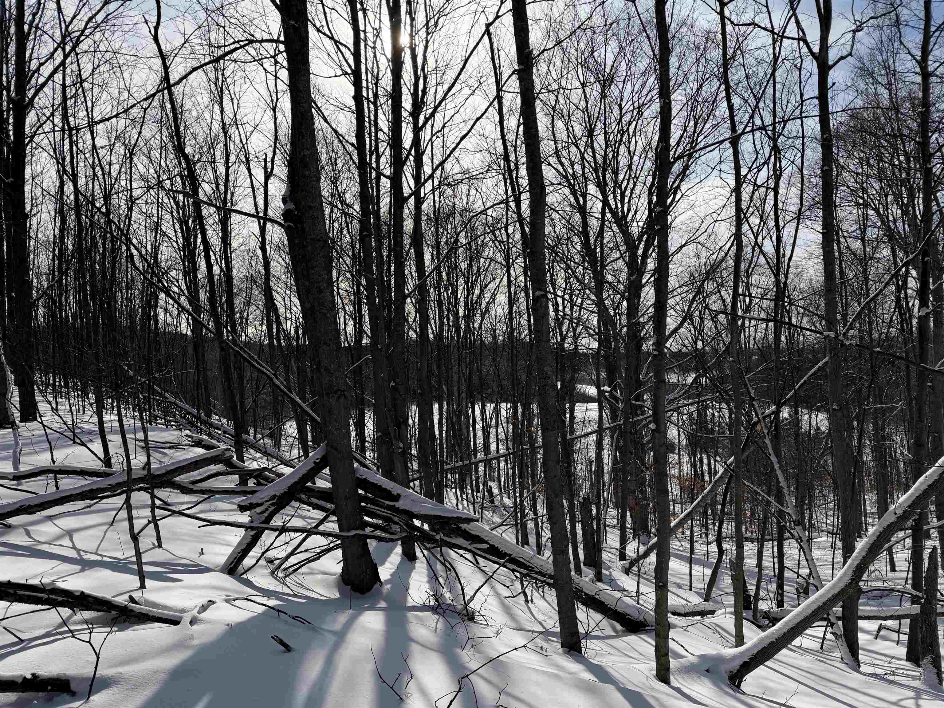 N Christianson Road photo 6
