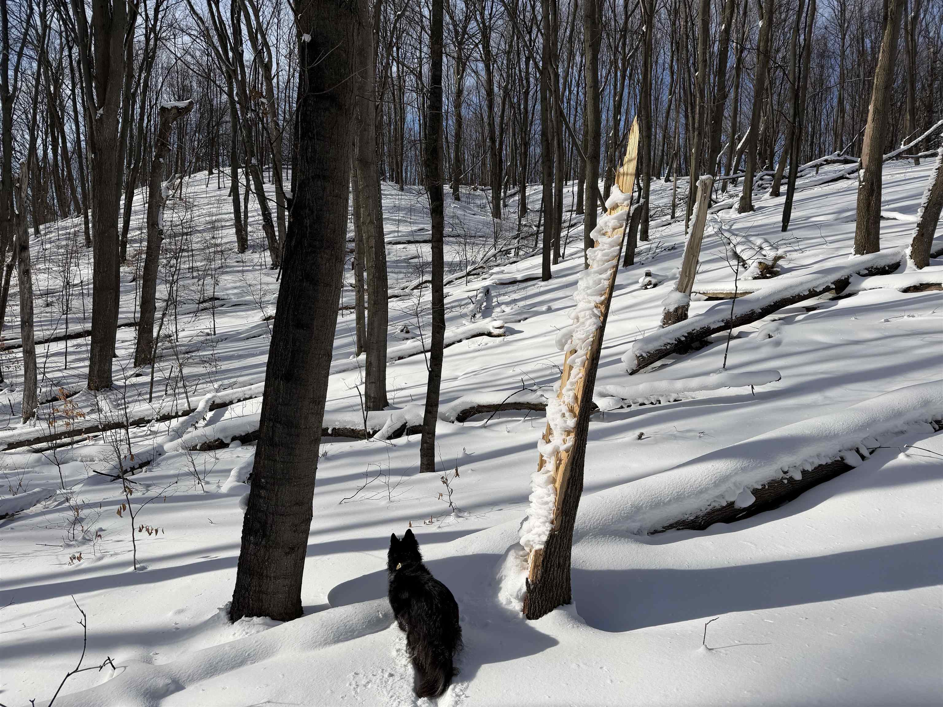 N Christianson Road, Northport, MI, 49670