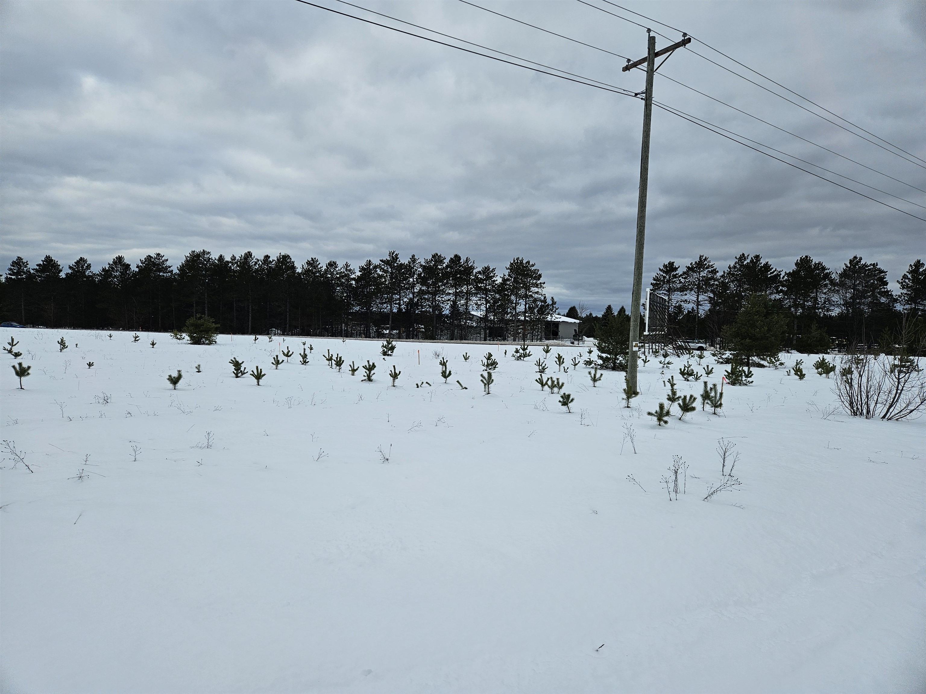 00 US-131 N Us-131, Mancelona, MI, 49659