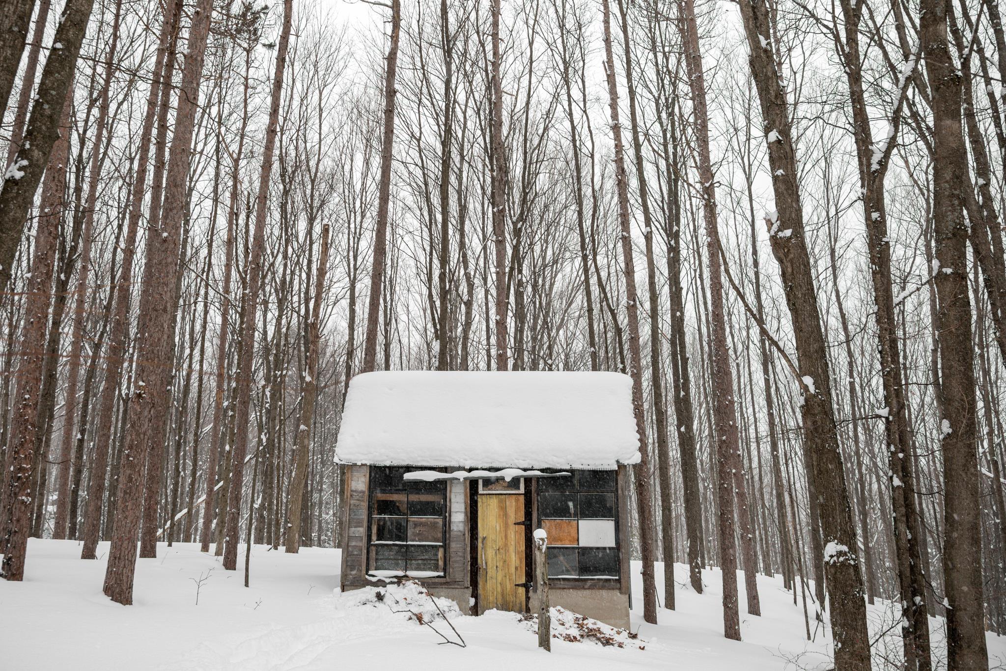  UNIT Lot: 2, Cedar, MI, 49621