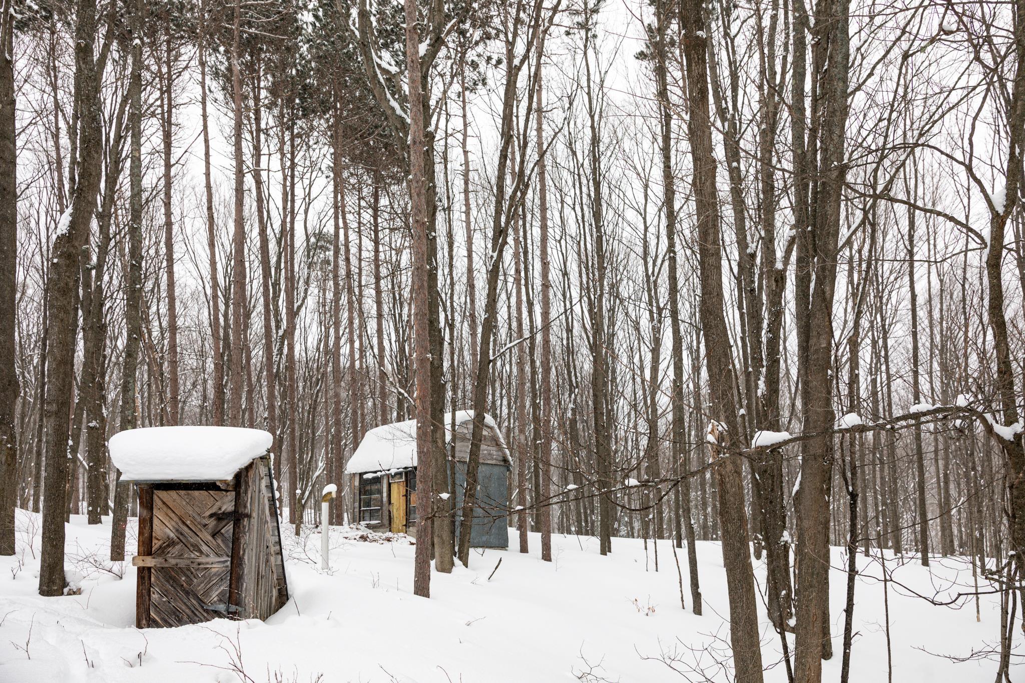  UNIT Lot: 2, Cedar, MI, 49621