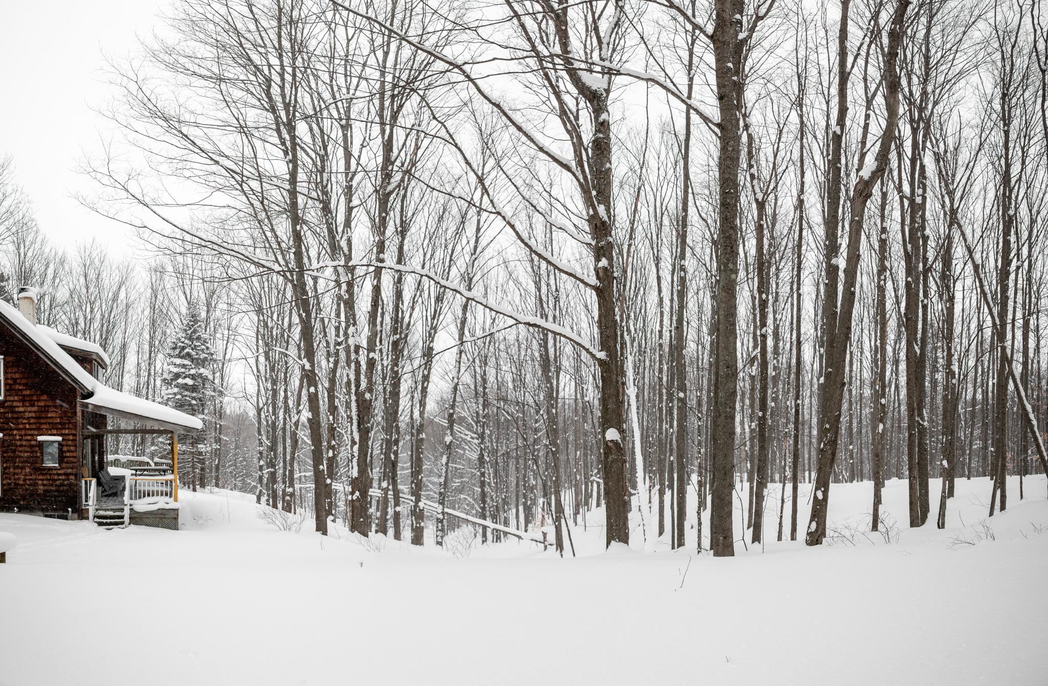  UNIT Lot: 2, Cedar, MI, 49621