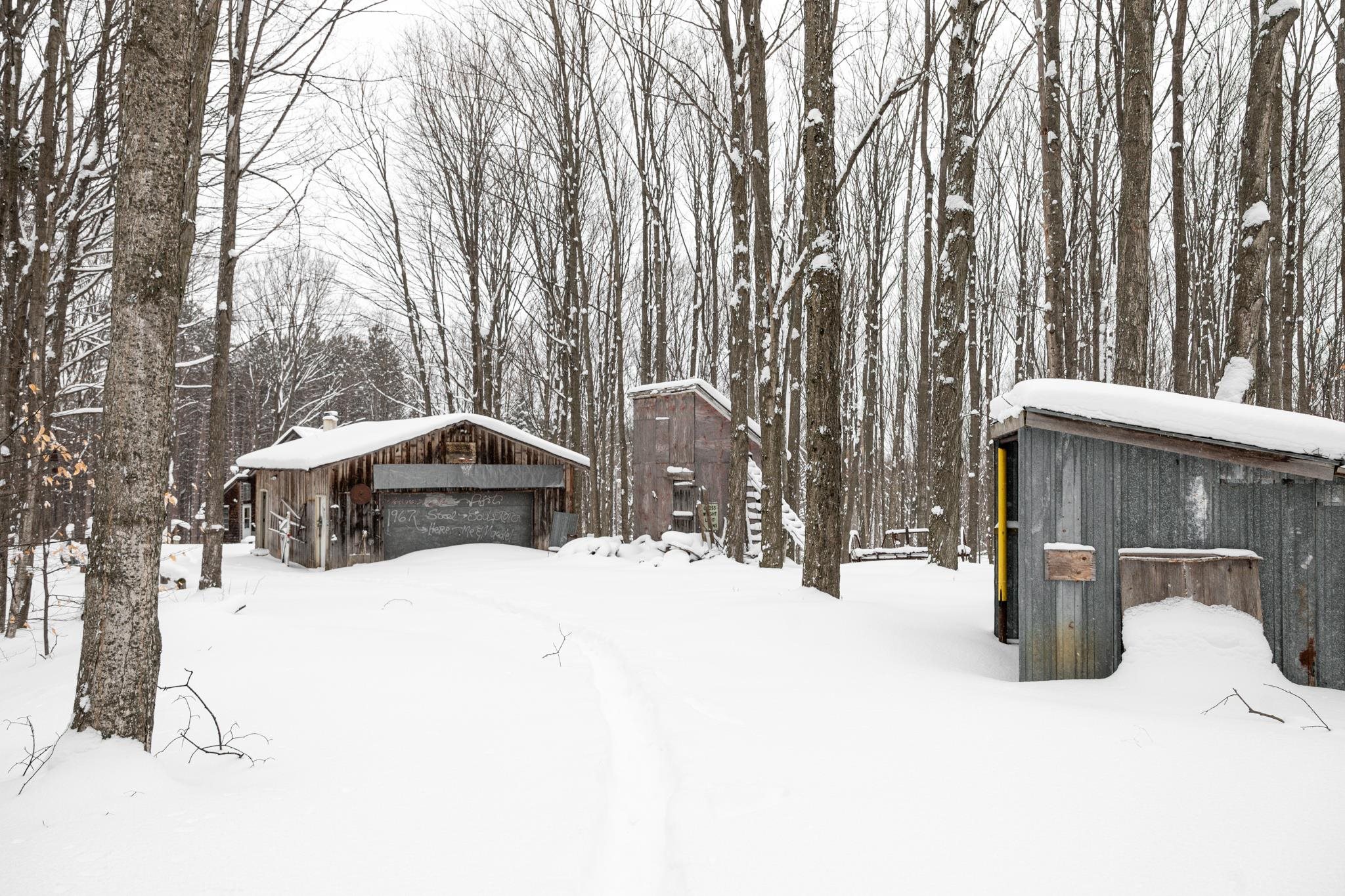  UNIT Lot: 2, Cedar, MI, 49621