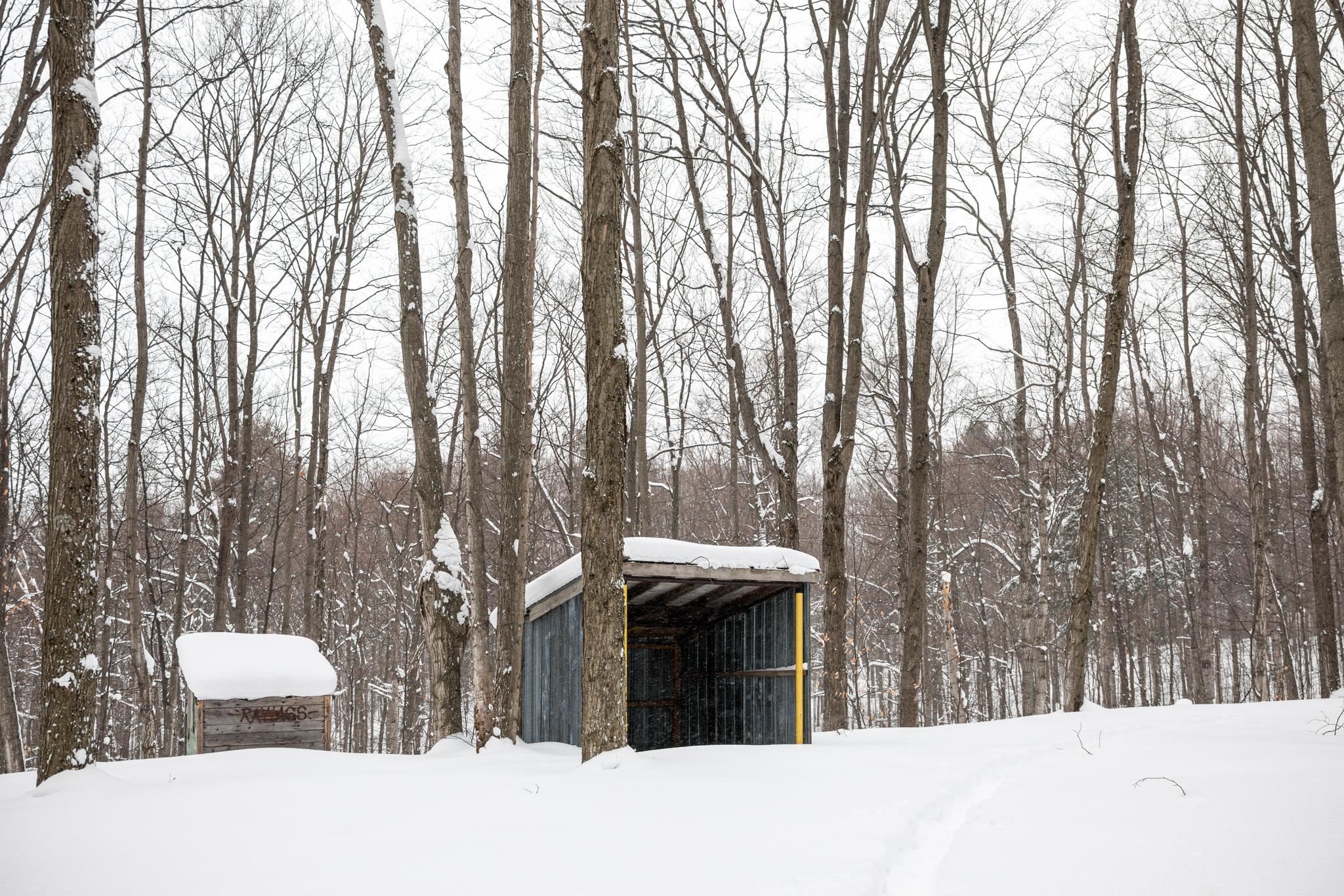  UNIT Lot: 2, Cedar, MI, 49621